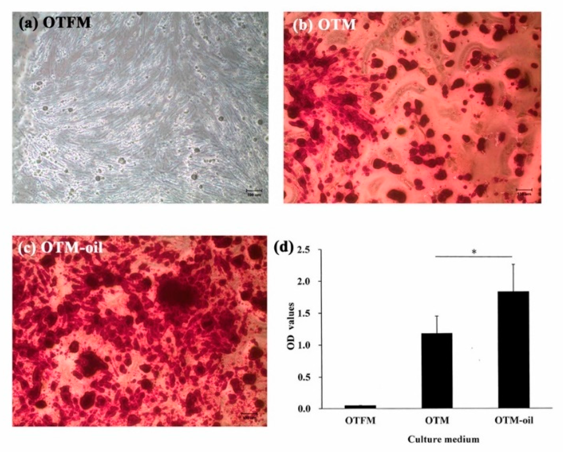 Materials 13 04063 g004