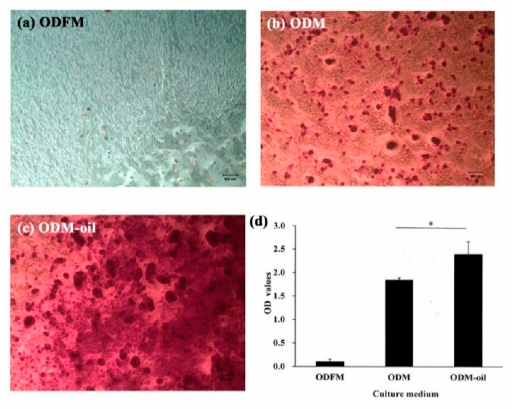 Materials 13 04063 g005