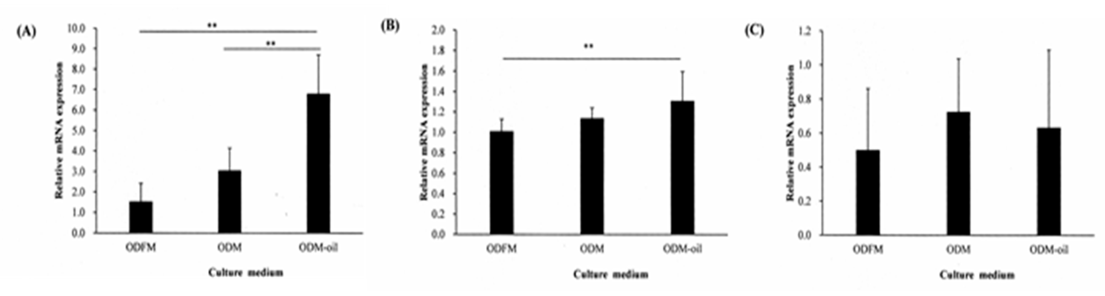 Materials 13 04063 g007