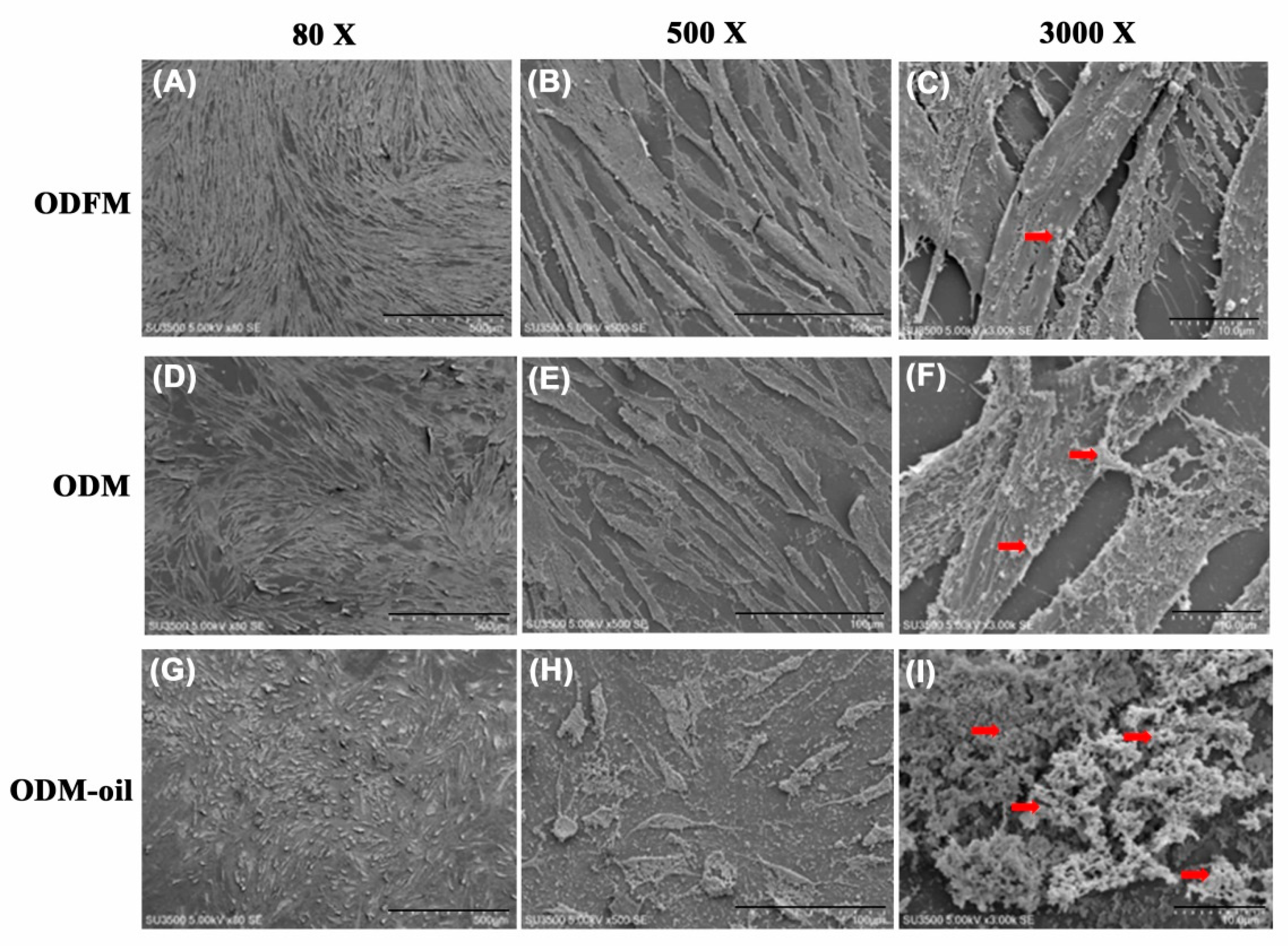 Materials 13 04063 g008