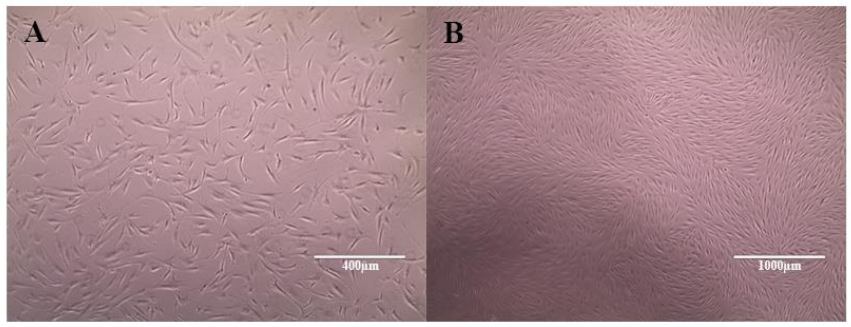 Materials 13 04071 g004