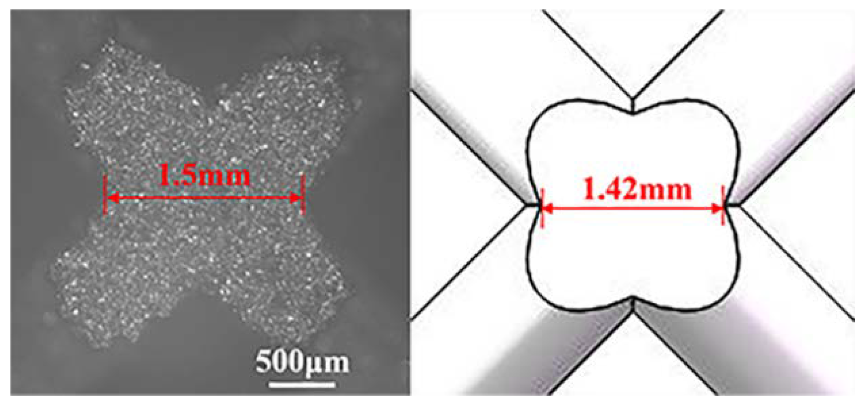 Materials 13 04083 g006