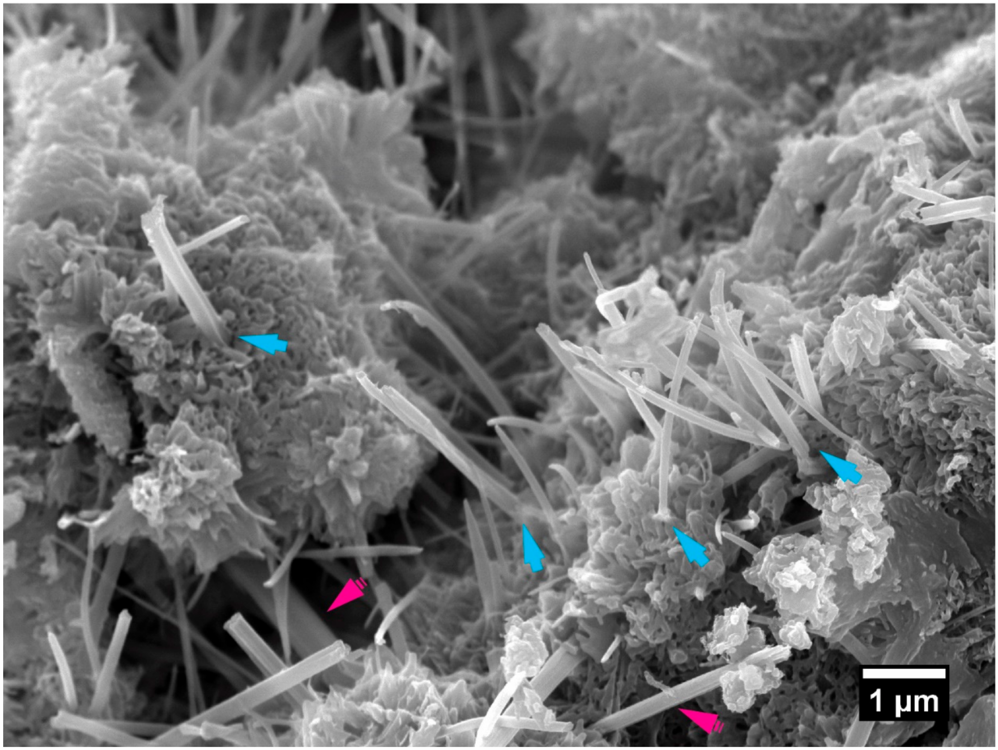 Materials 13 04097 g007 Materials 13 04097 g007