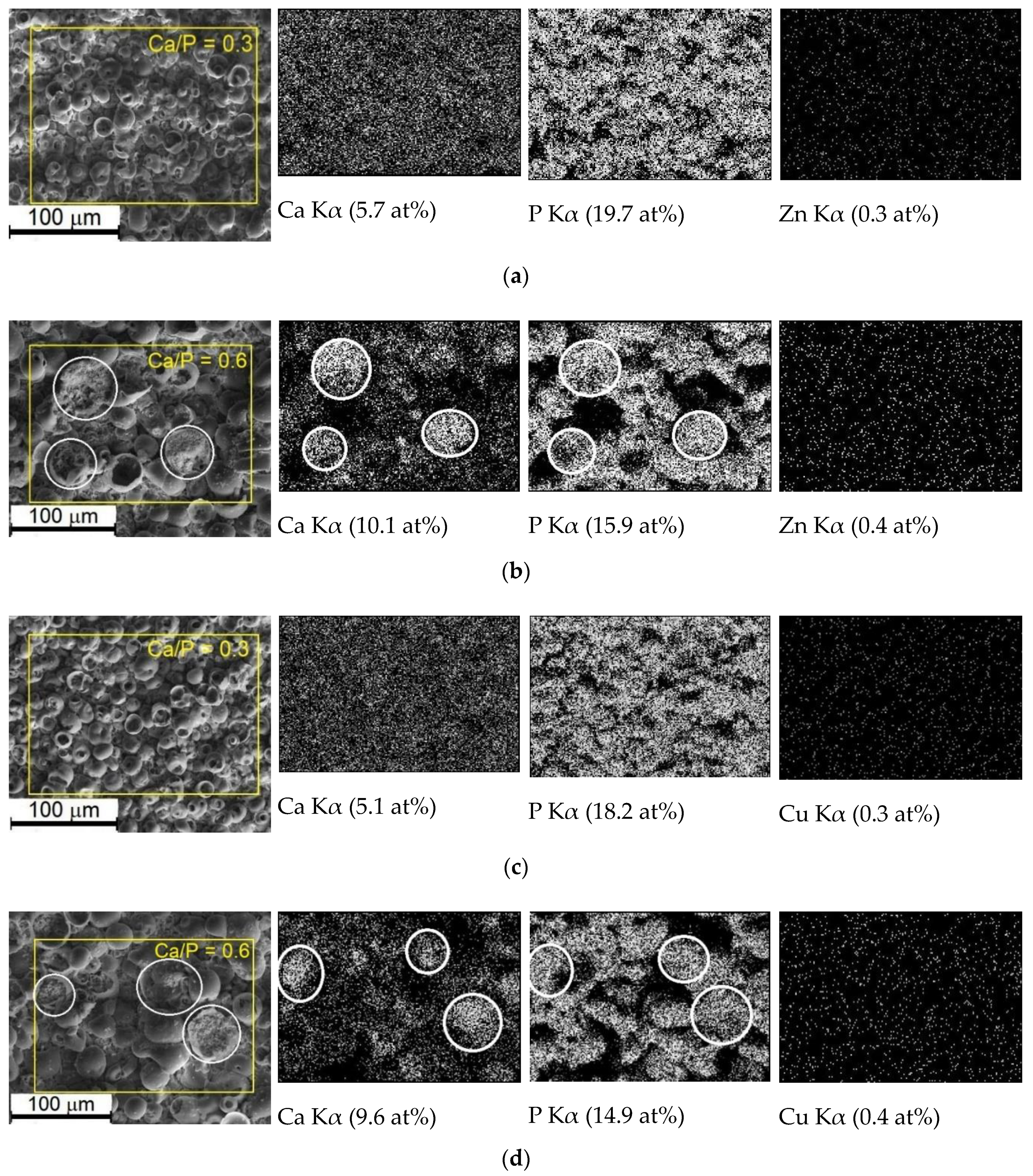 Materials 13 04116 g007