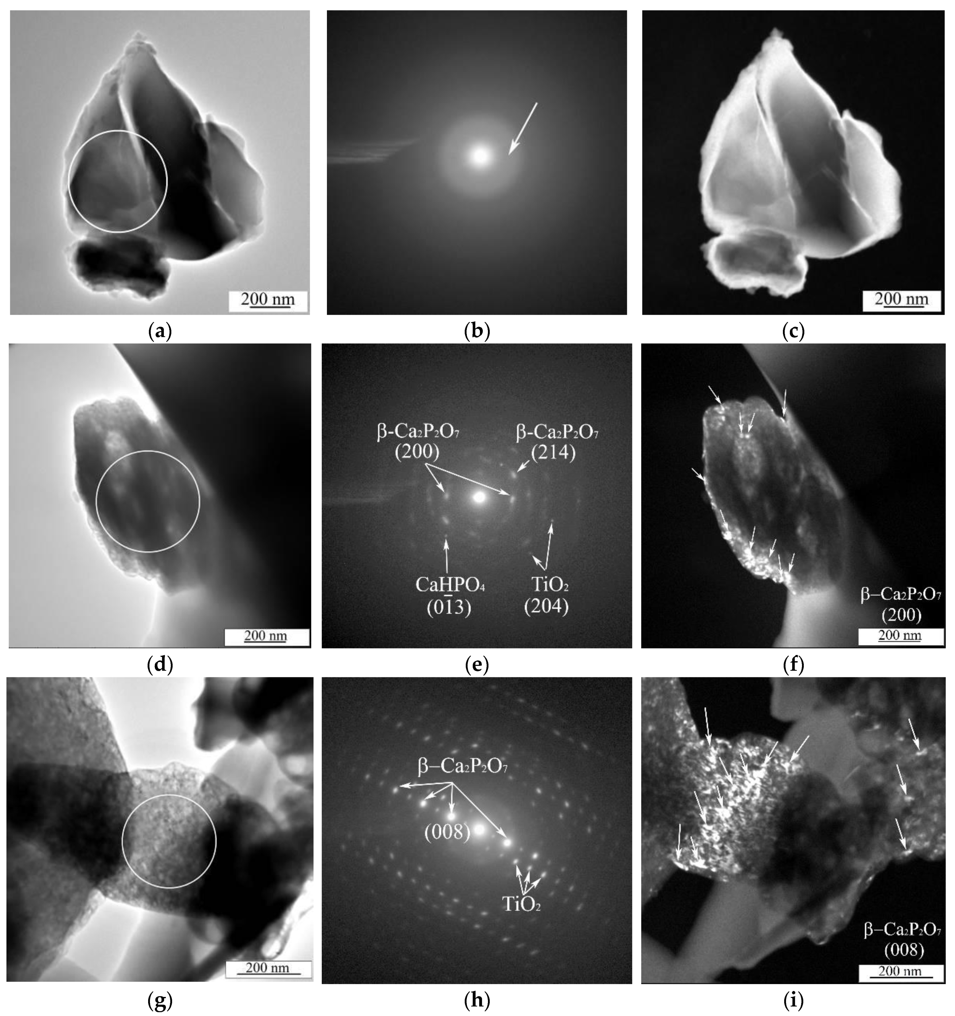 Materials 13 04116 g009