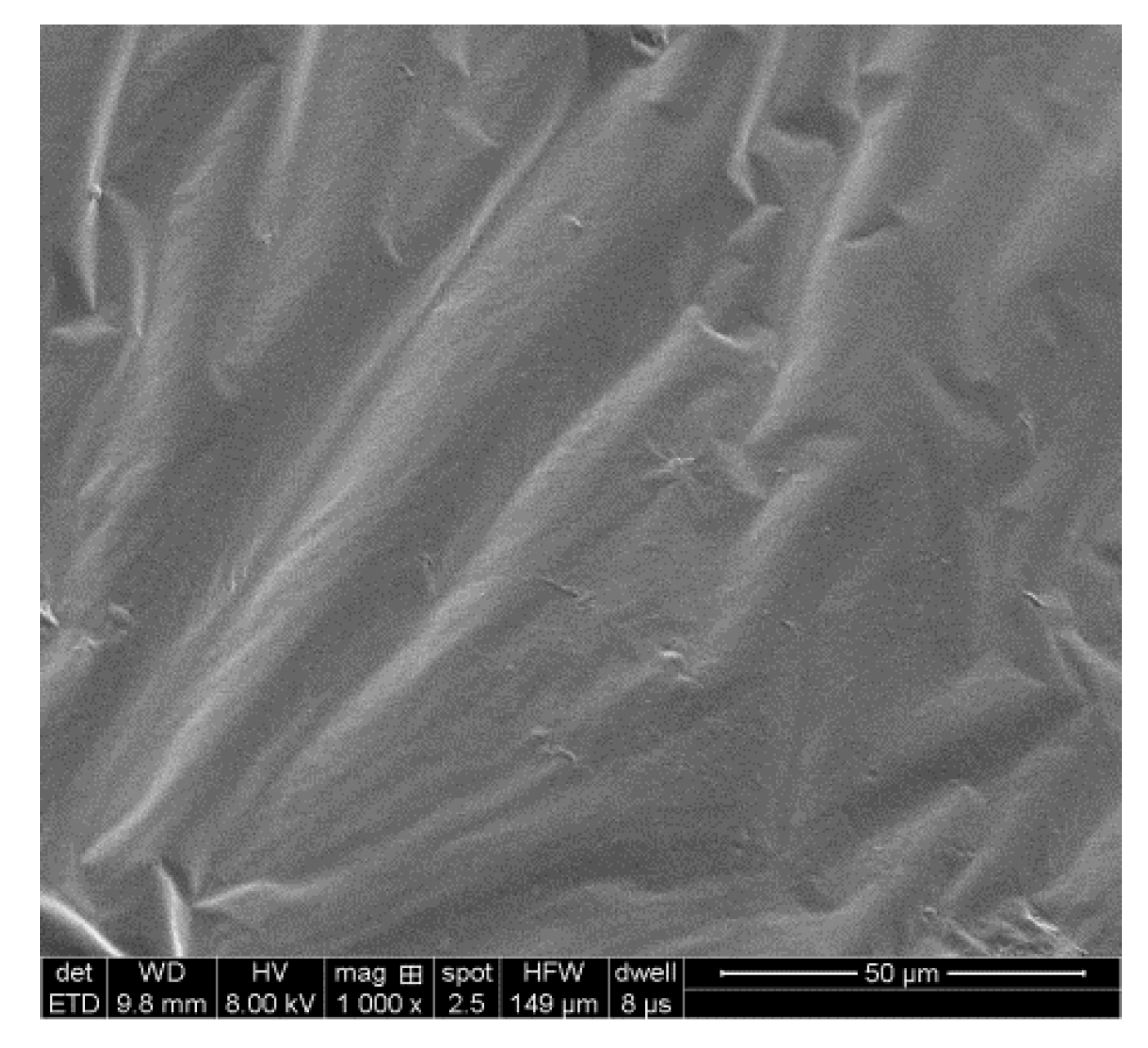 Materials 13 04120 g002