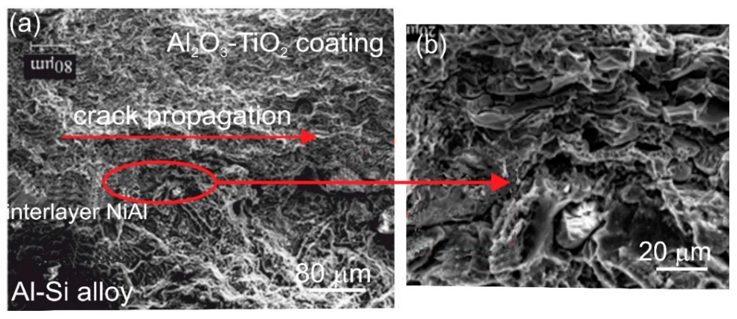 Materials 13 04122 g010 Materials 13 04122 g010