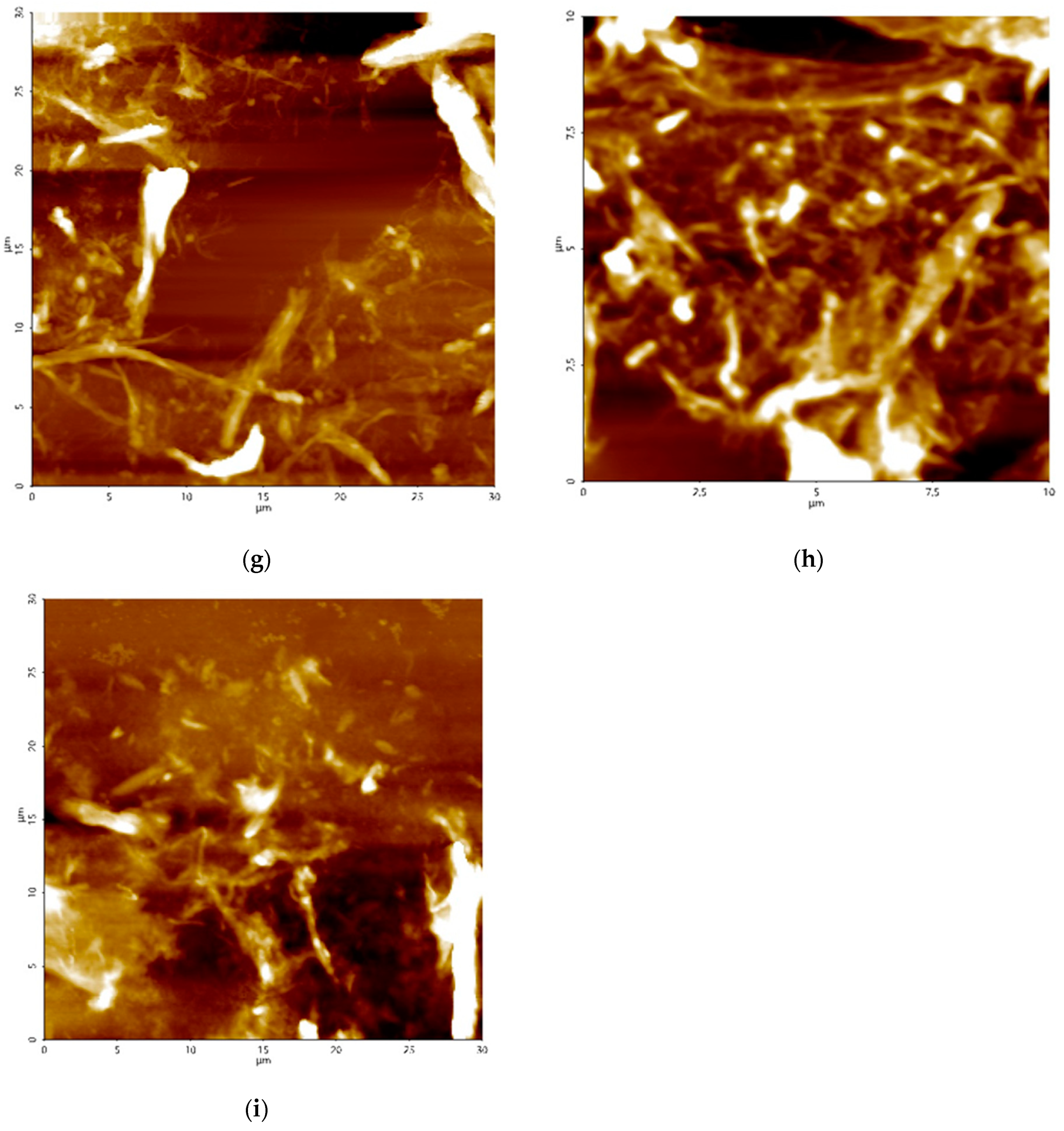 Materials 13 04125 g001b Materials 13 04125 g001b