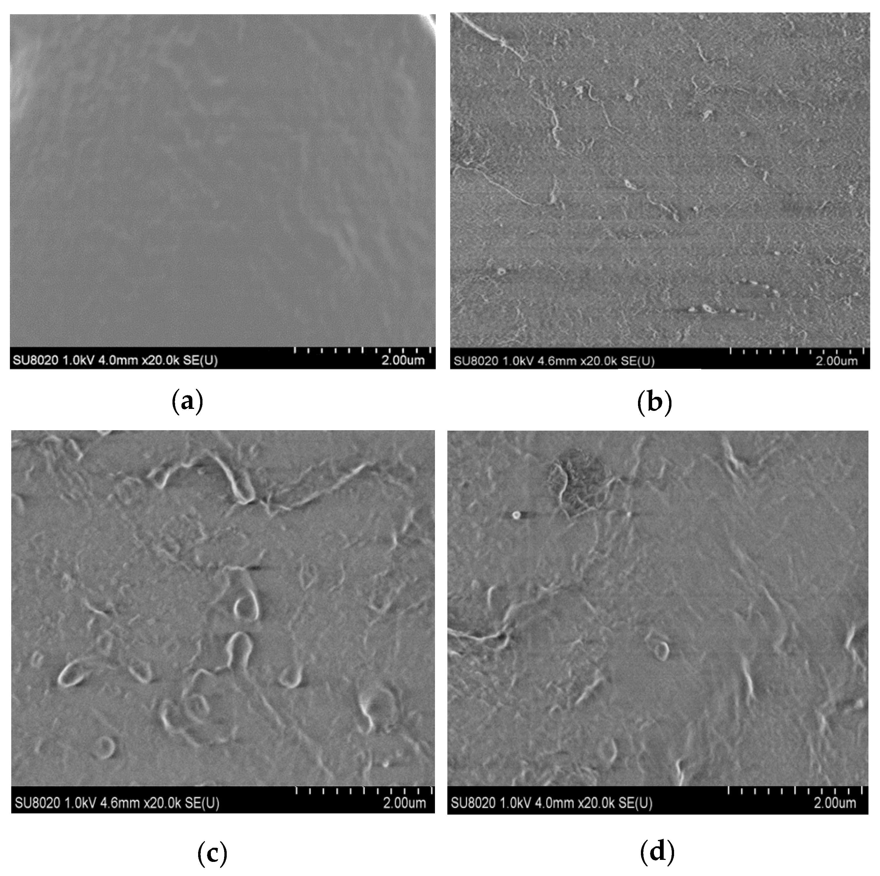 Materials 13 04136 g001 550