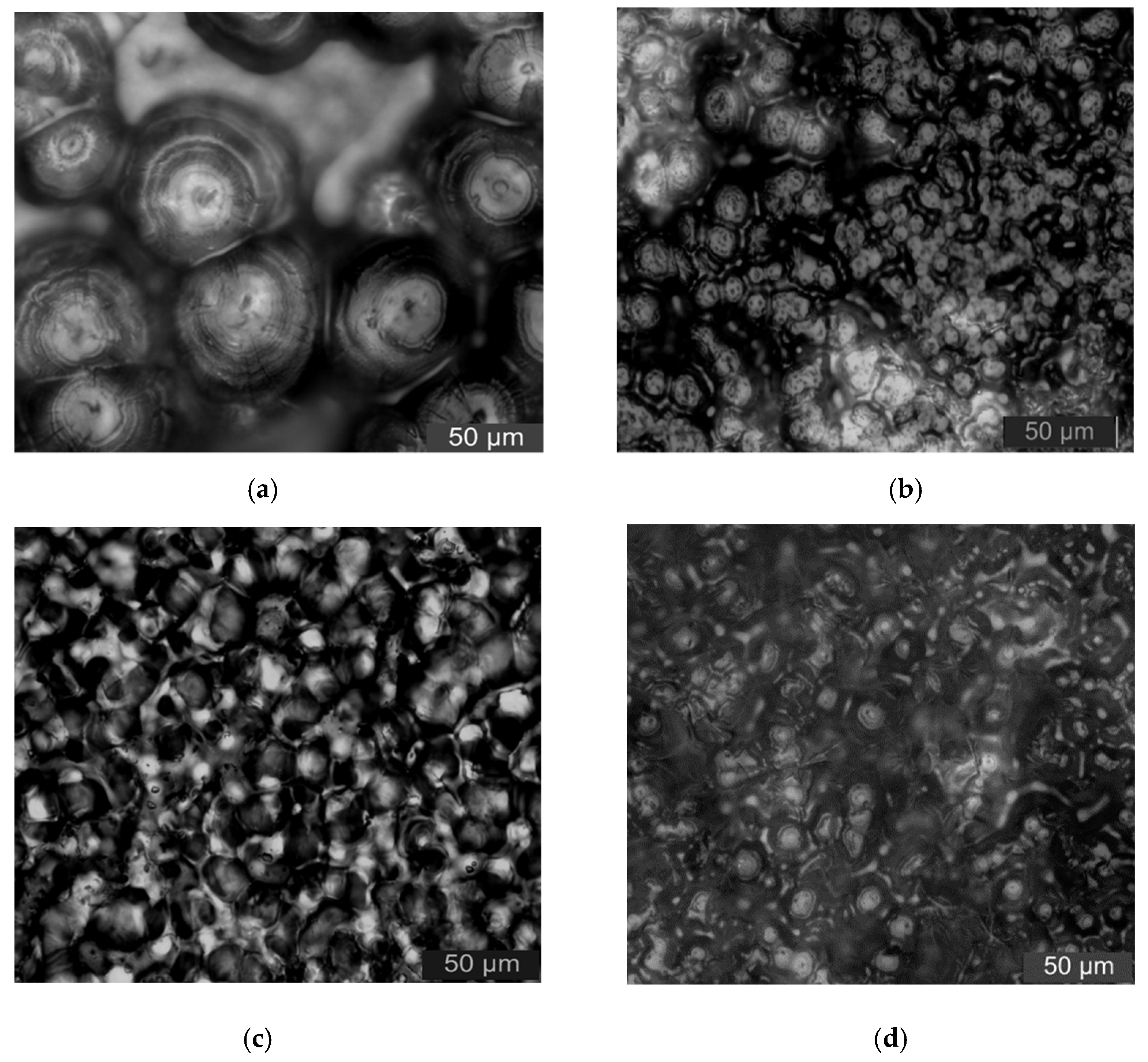 Materials 13 04136 g002 550