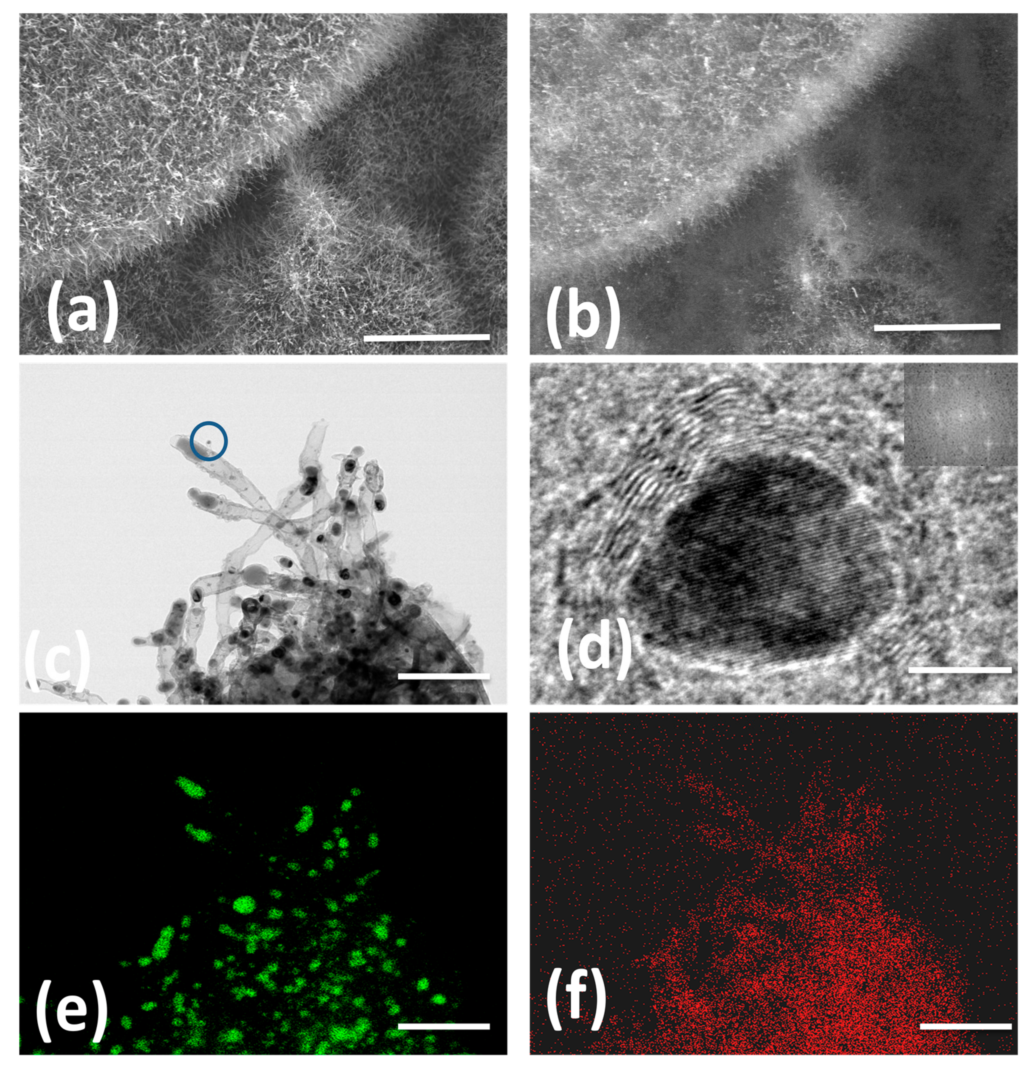 Materials 13 04144 g001 Materials 13 04144 g001