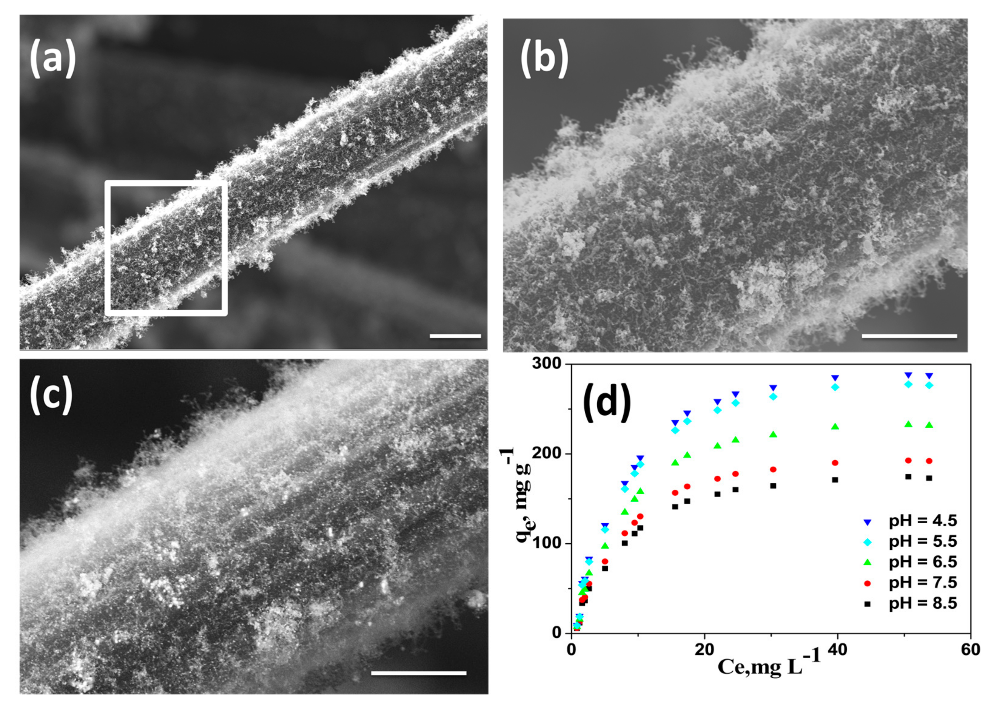 Materials 13 04144 g004 Materials 13 04144 g004