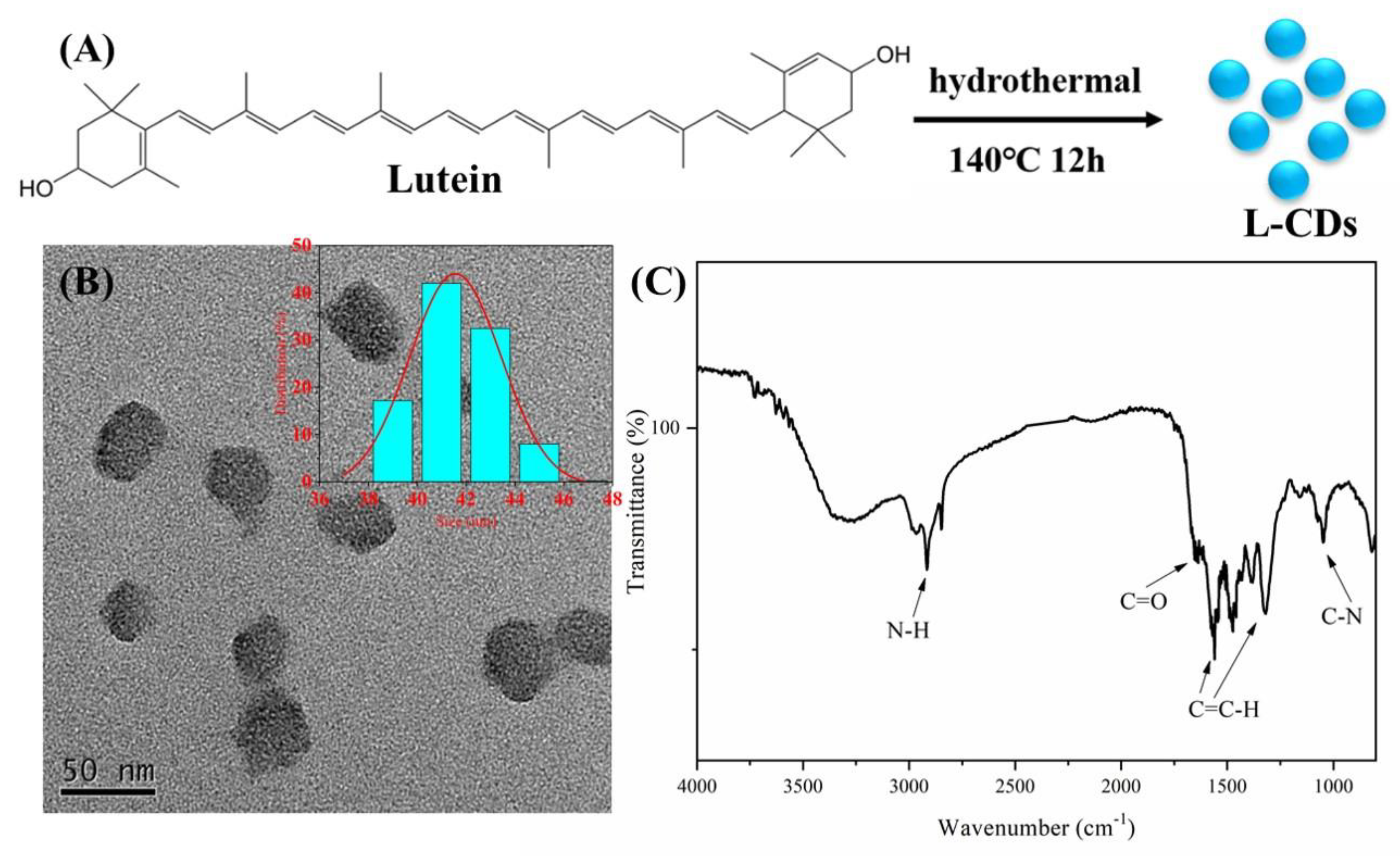 Materials 13 04146 g001