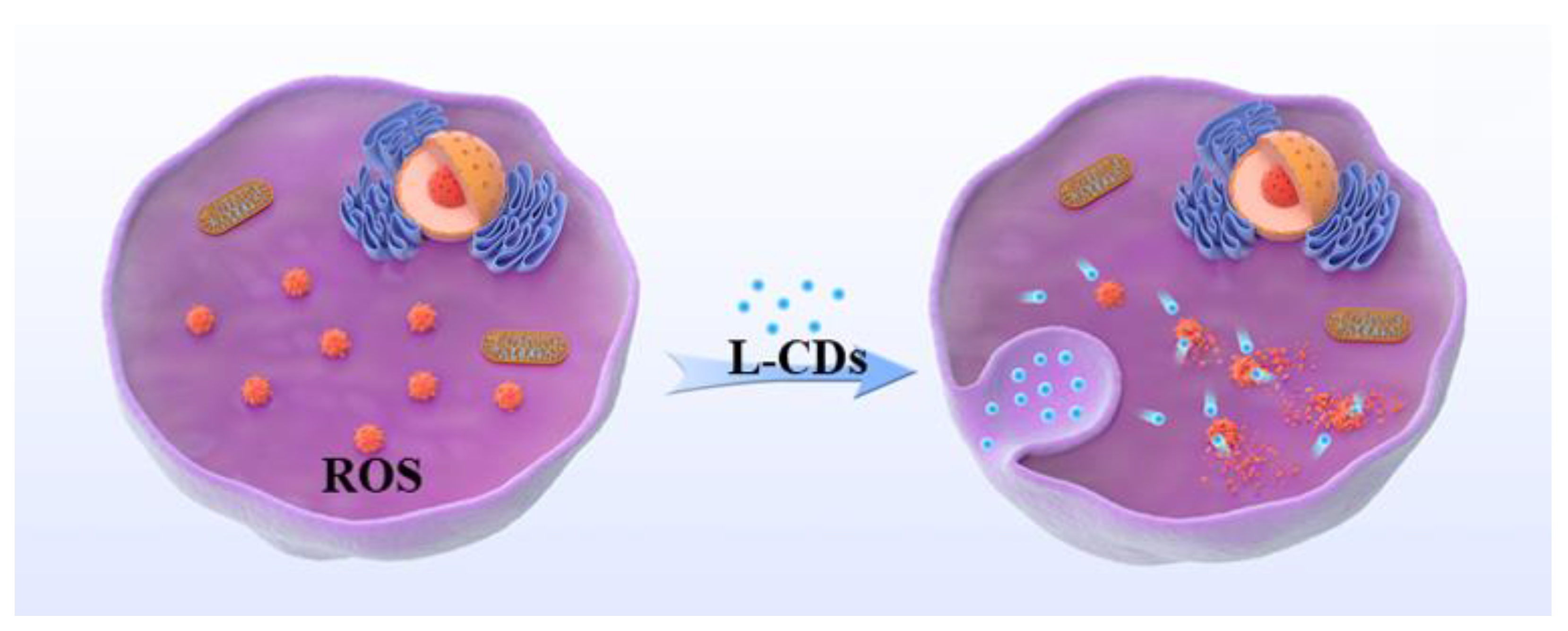 Materials 13 04146 sch001