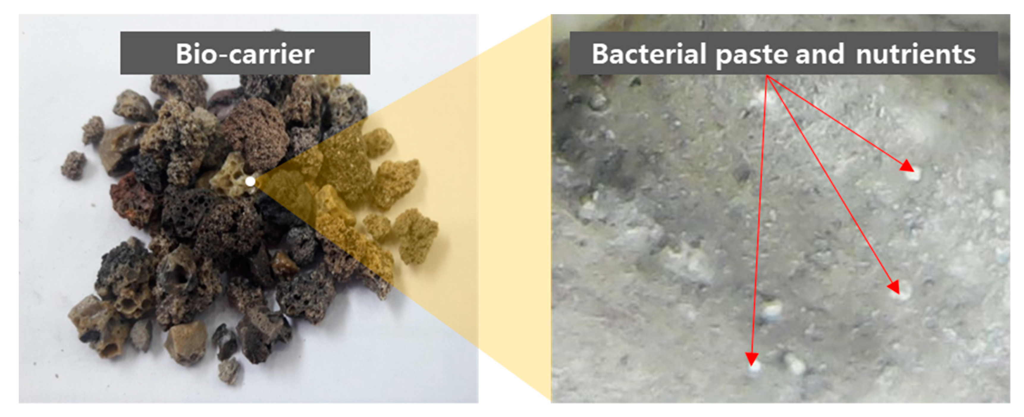 Materials 13 04164 g001 Materials 13 04164 g001