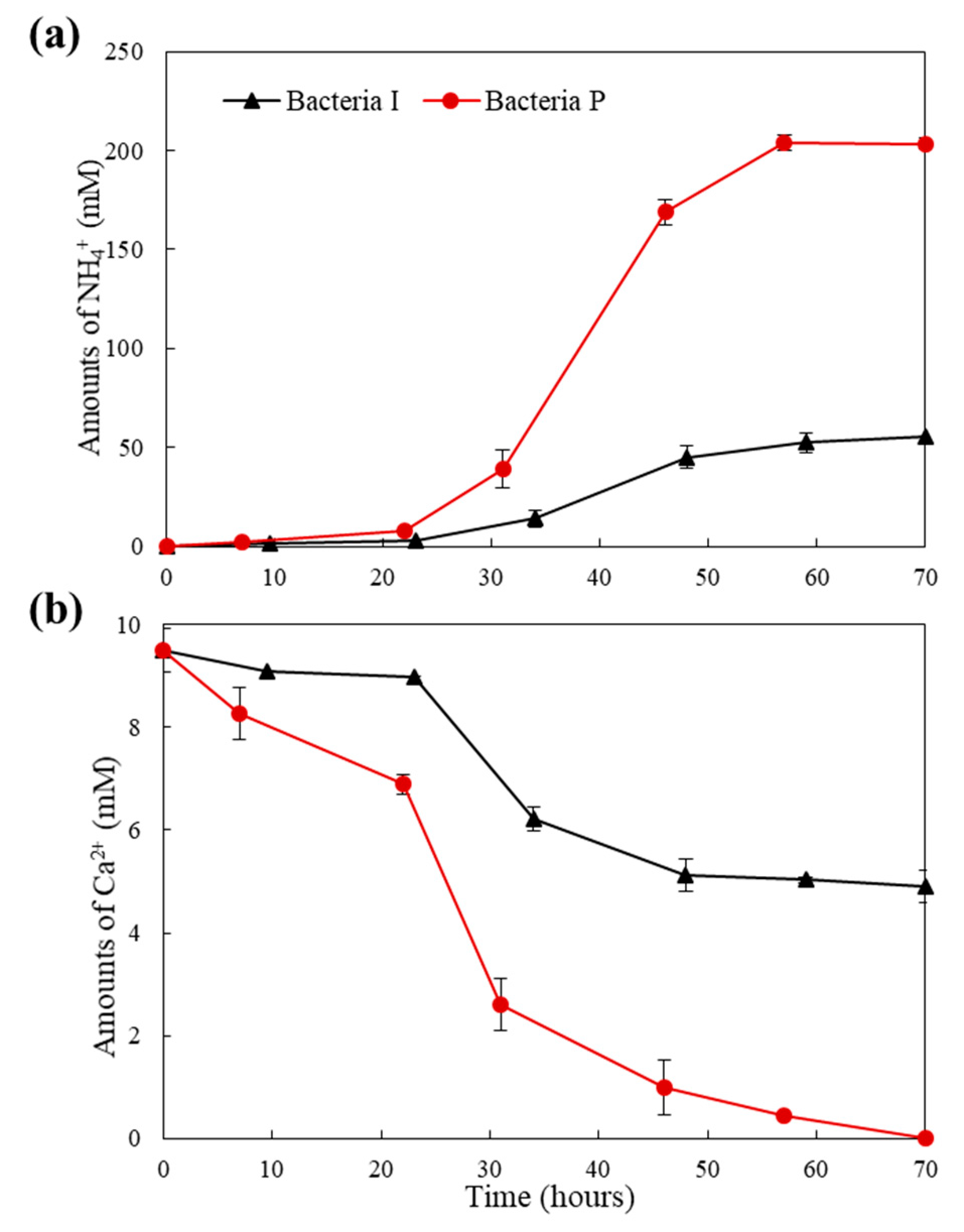 Materials 13 04164 g003 Materials 13 04164 g003