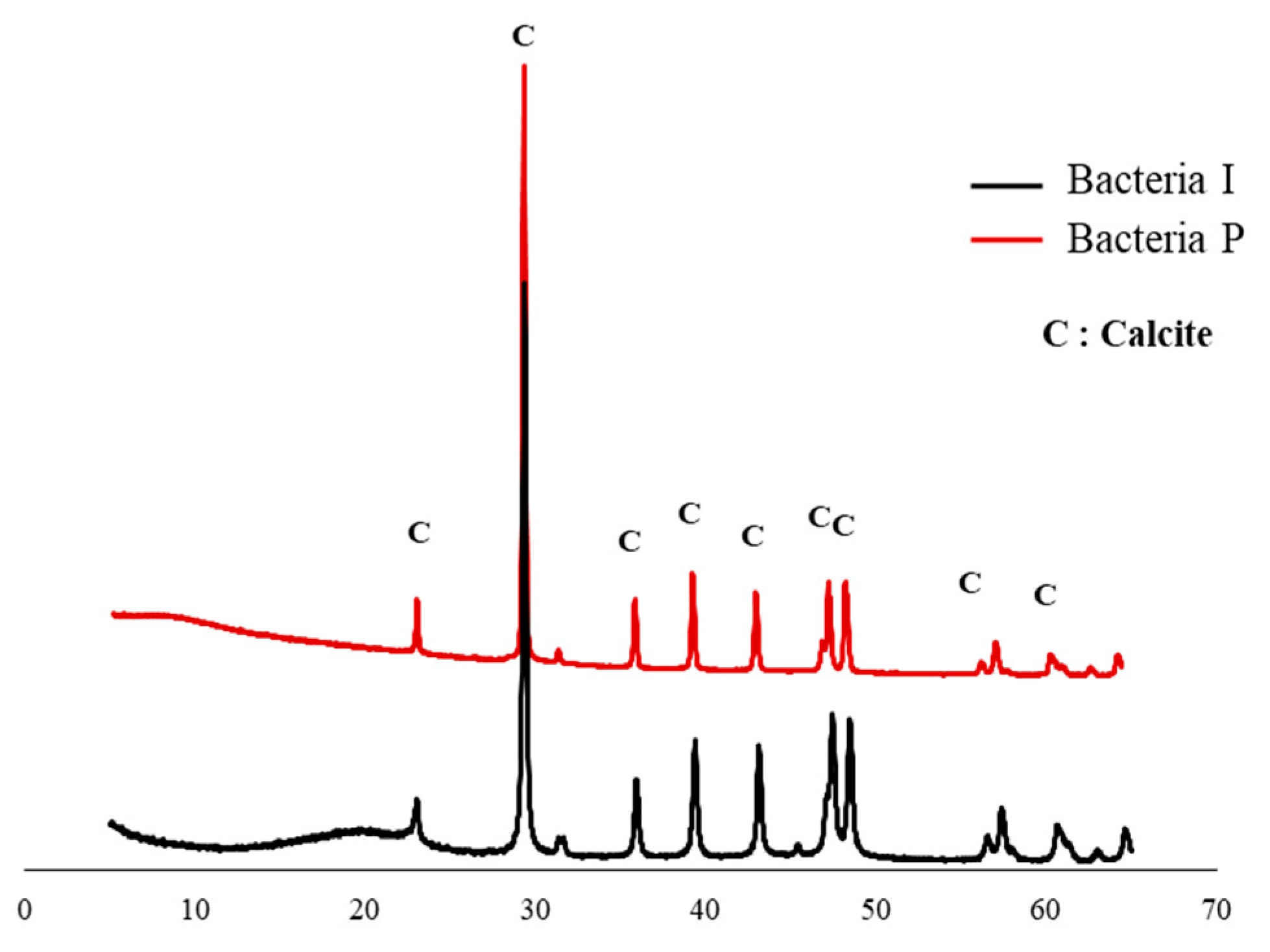 Materials 13 04164 g005 Materials 13 04164 g005