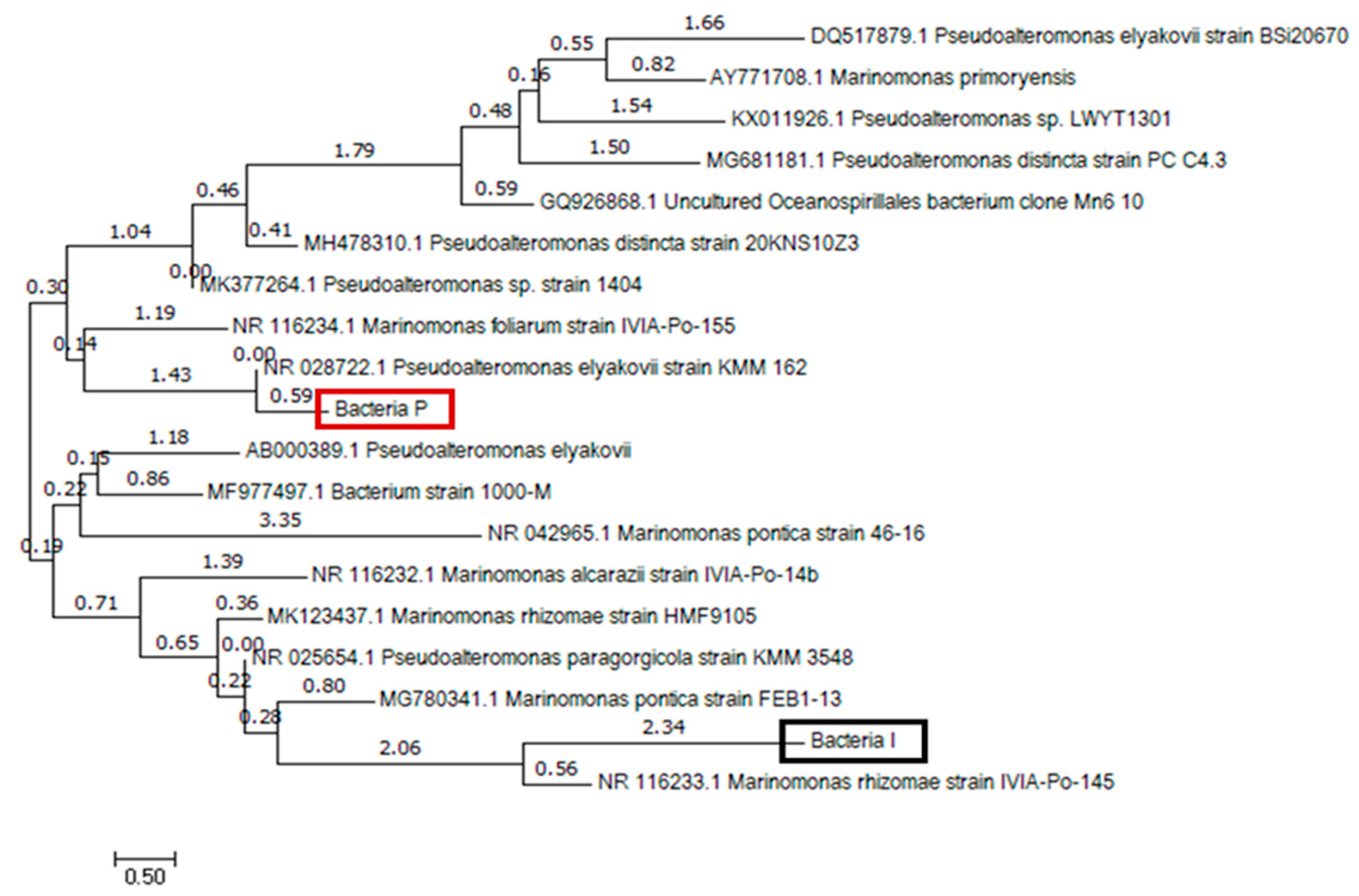 Materials 13 04164 g006 Materials 13 04164 g006