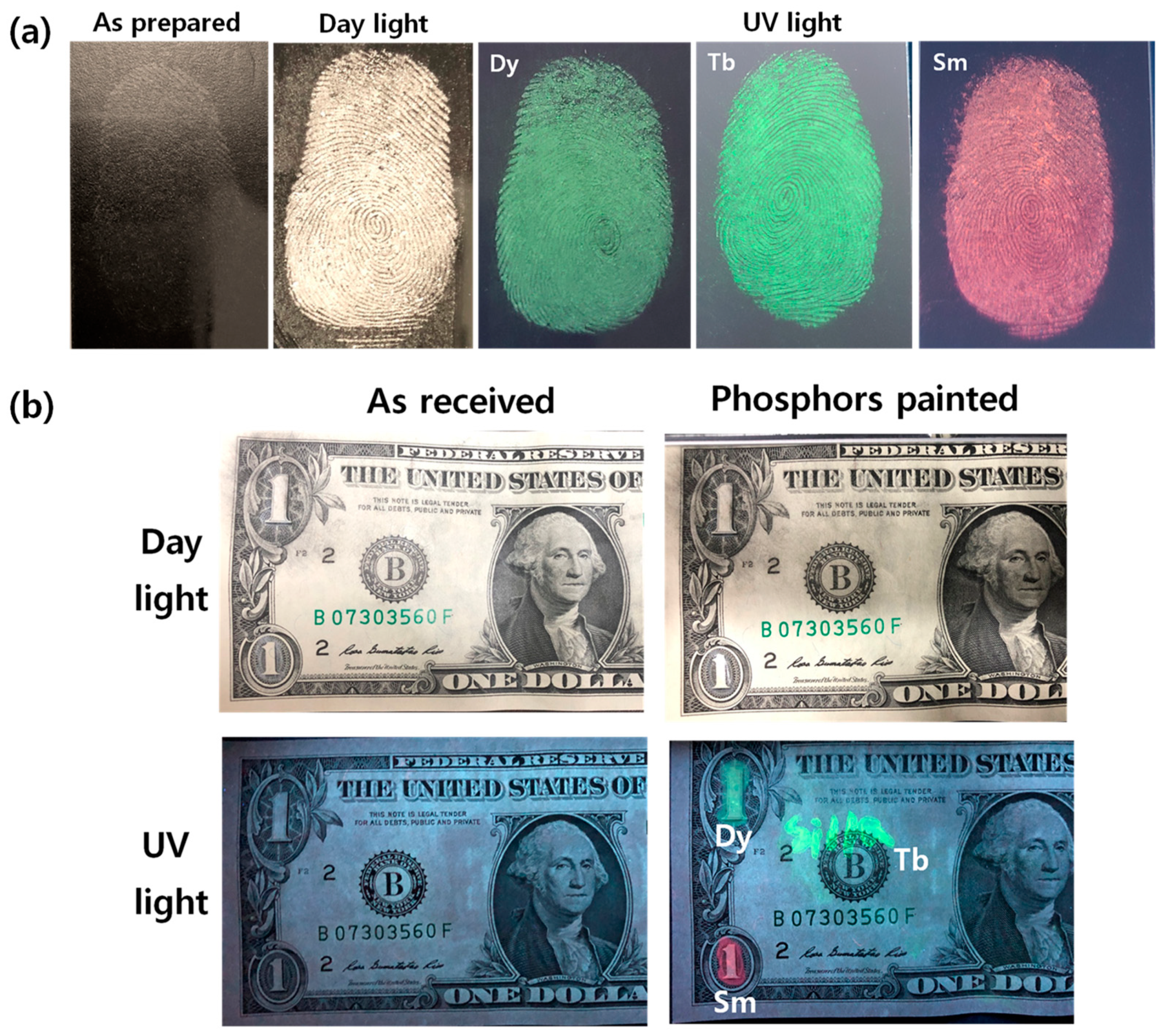 Materials 13 04165 g007 Materials 13 04165 g007