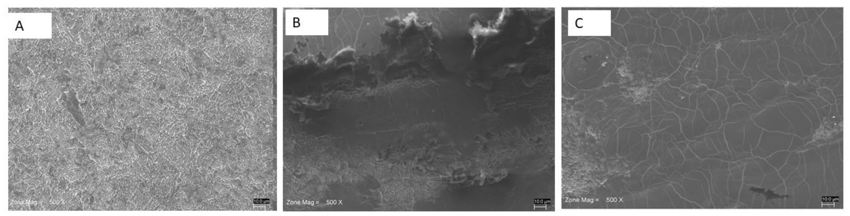 Materials 13 04174 g006 Materials 13 04174 g006