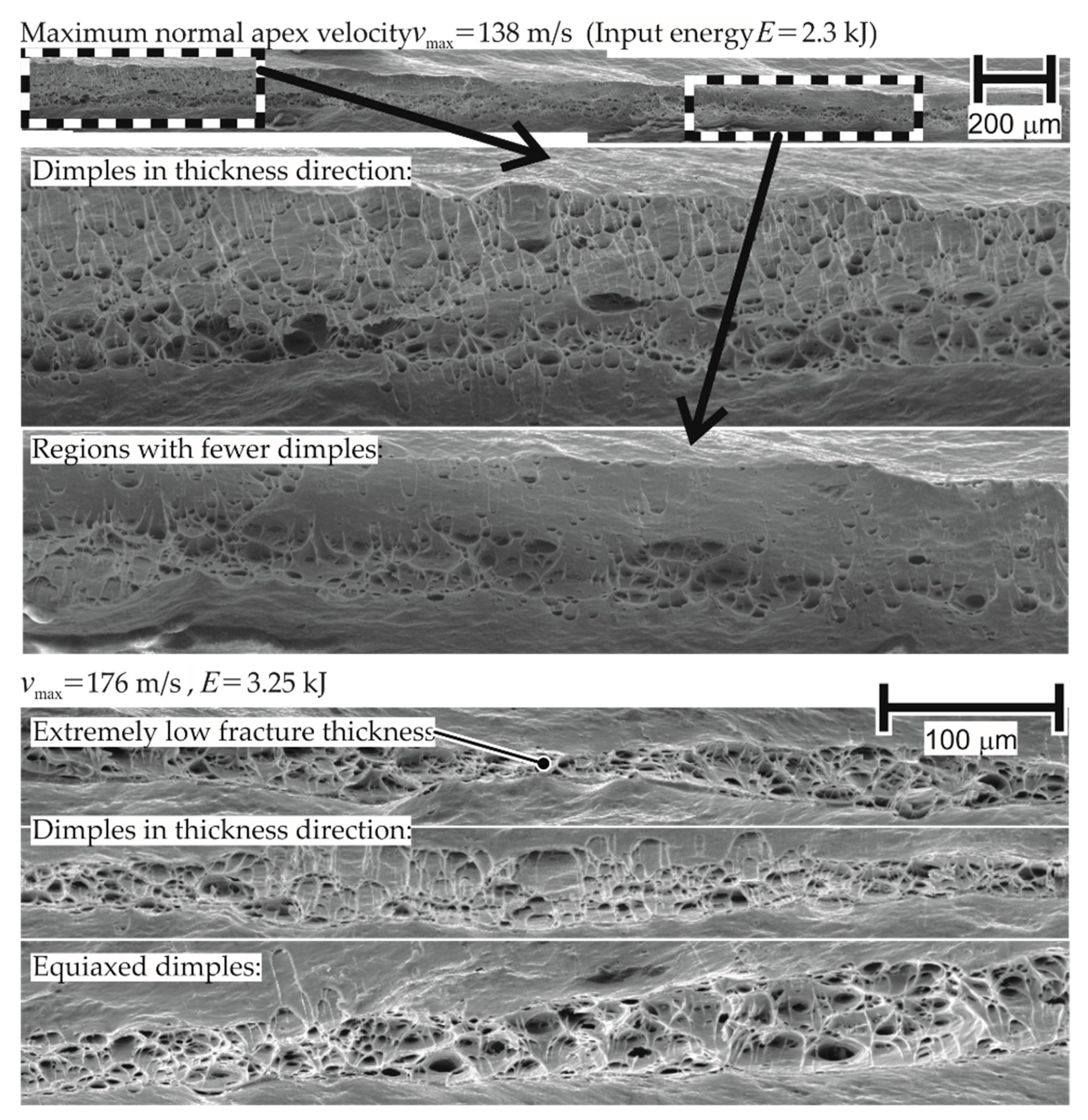 Materials 13 04175 g024 Materials 13 04175 g024