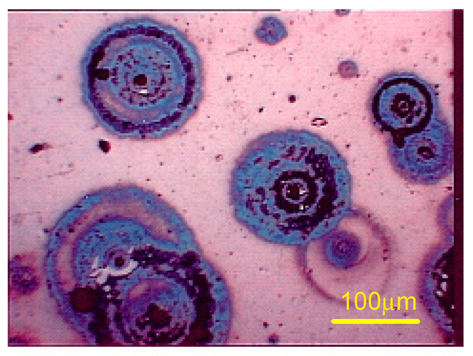 Materials 13 04187 g011 Materials 13 04187 g011