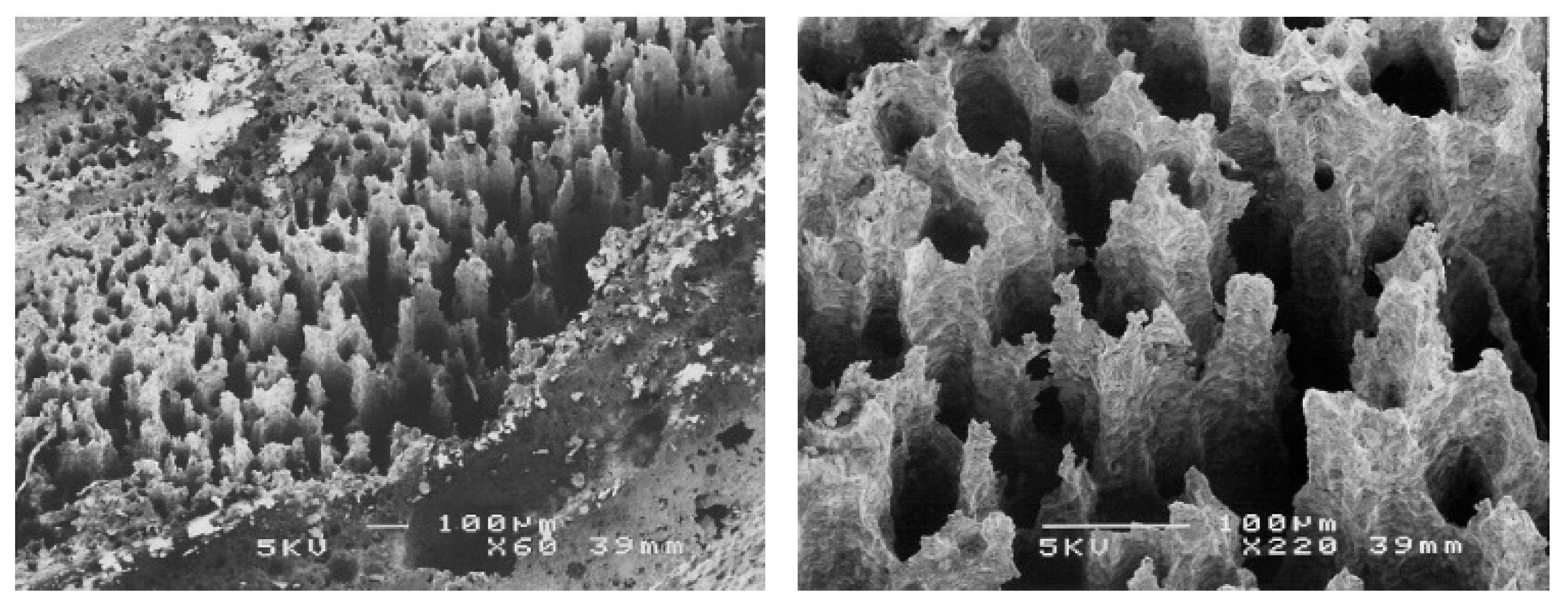 Materials 13 04187 g015 Materials 13 04187 g015