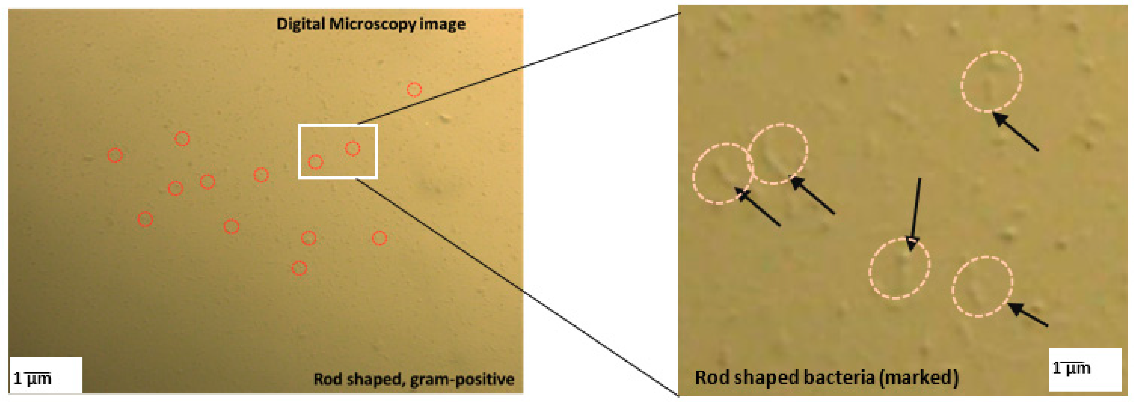 Materials 13 04198 g003 Materials 13 04198 g003