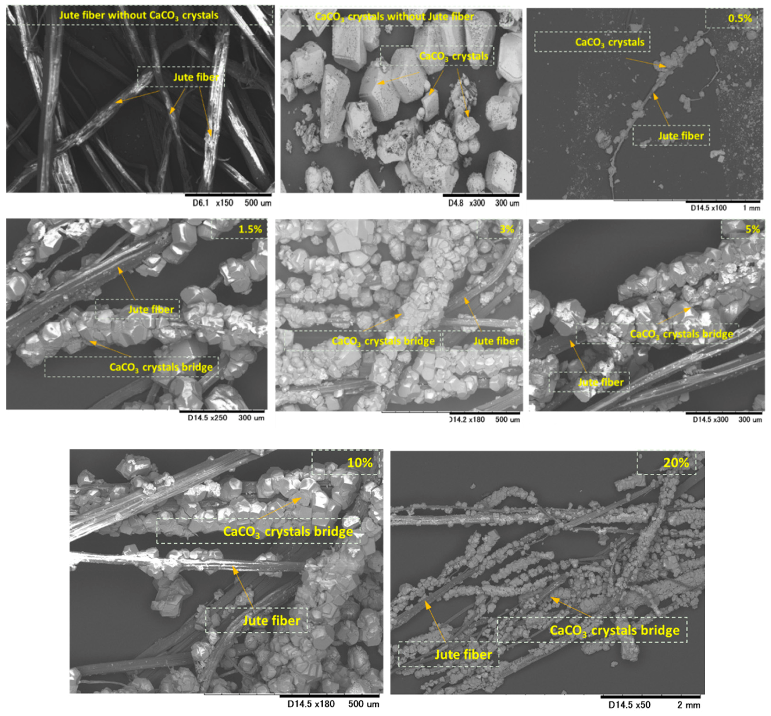 Materials 13 04198 g008 Materials 13 04198 g008