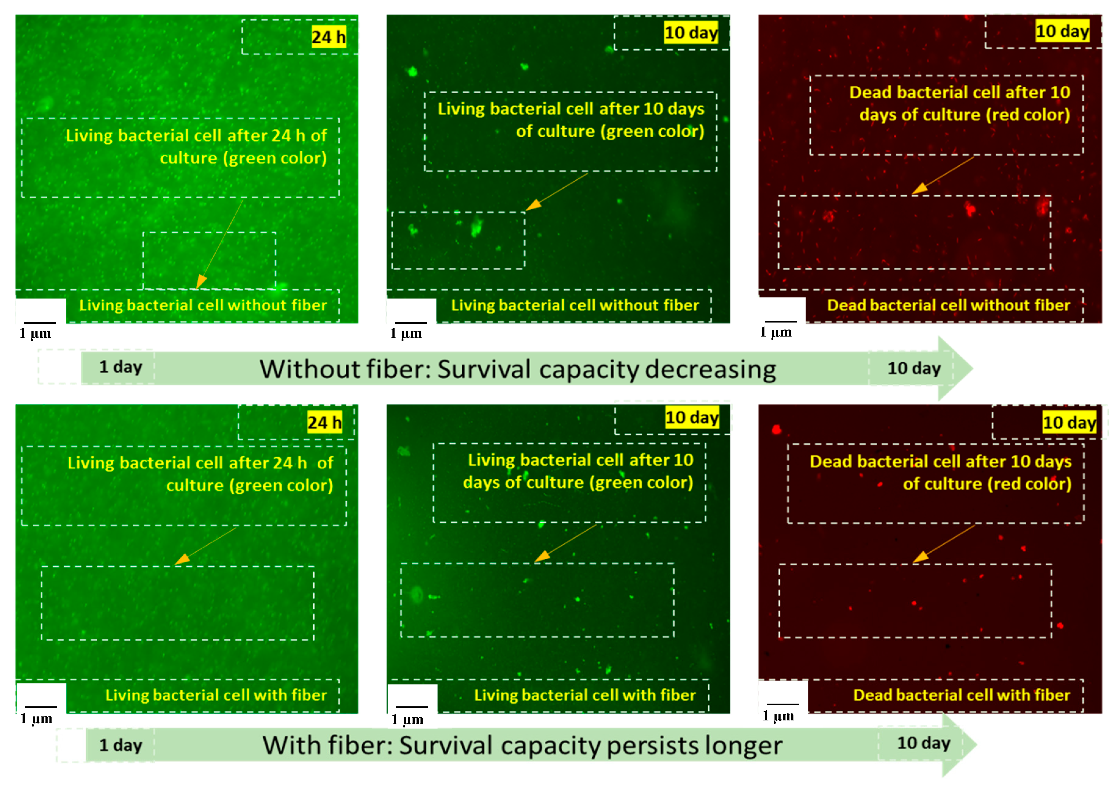 Materials 13 04198 g009 Materials 13 04198 g009