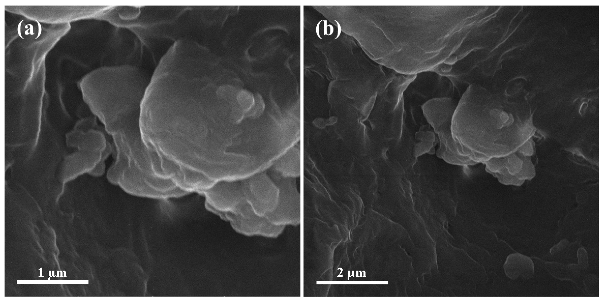 Materials 13 04207 g004