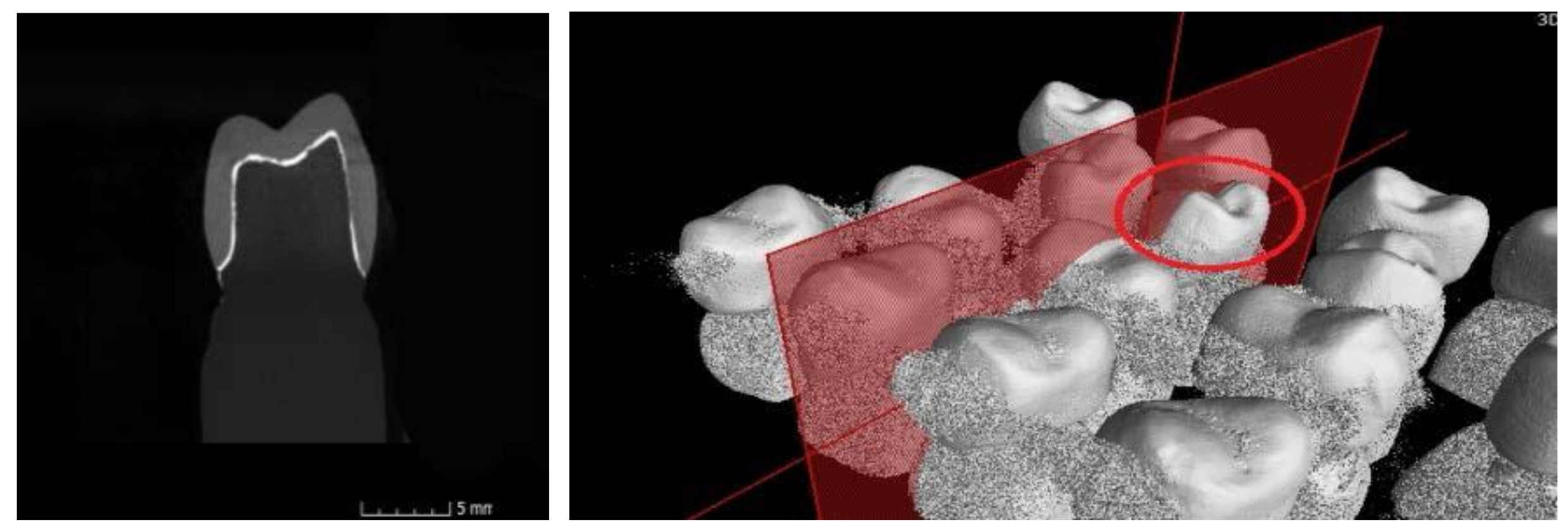 Materials 13 04239 g006