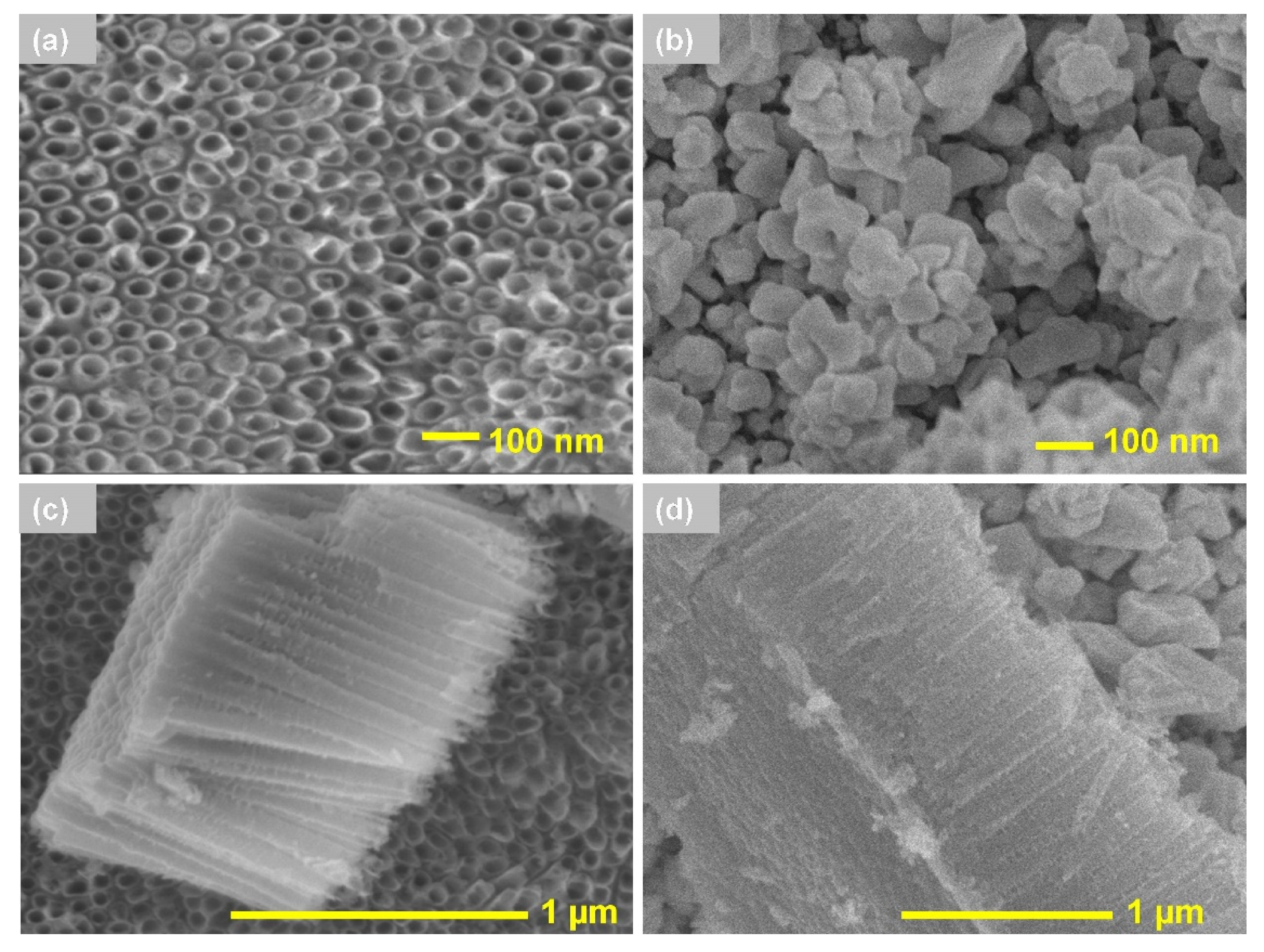 Materials 13 04269 g001