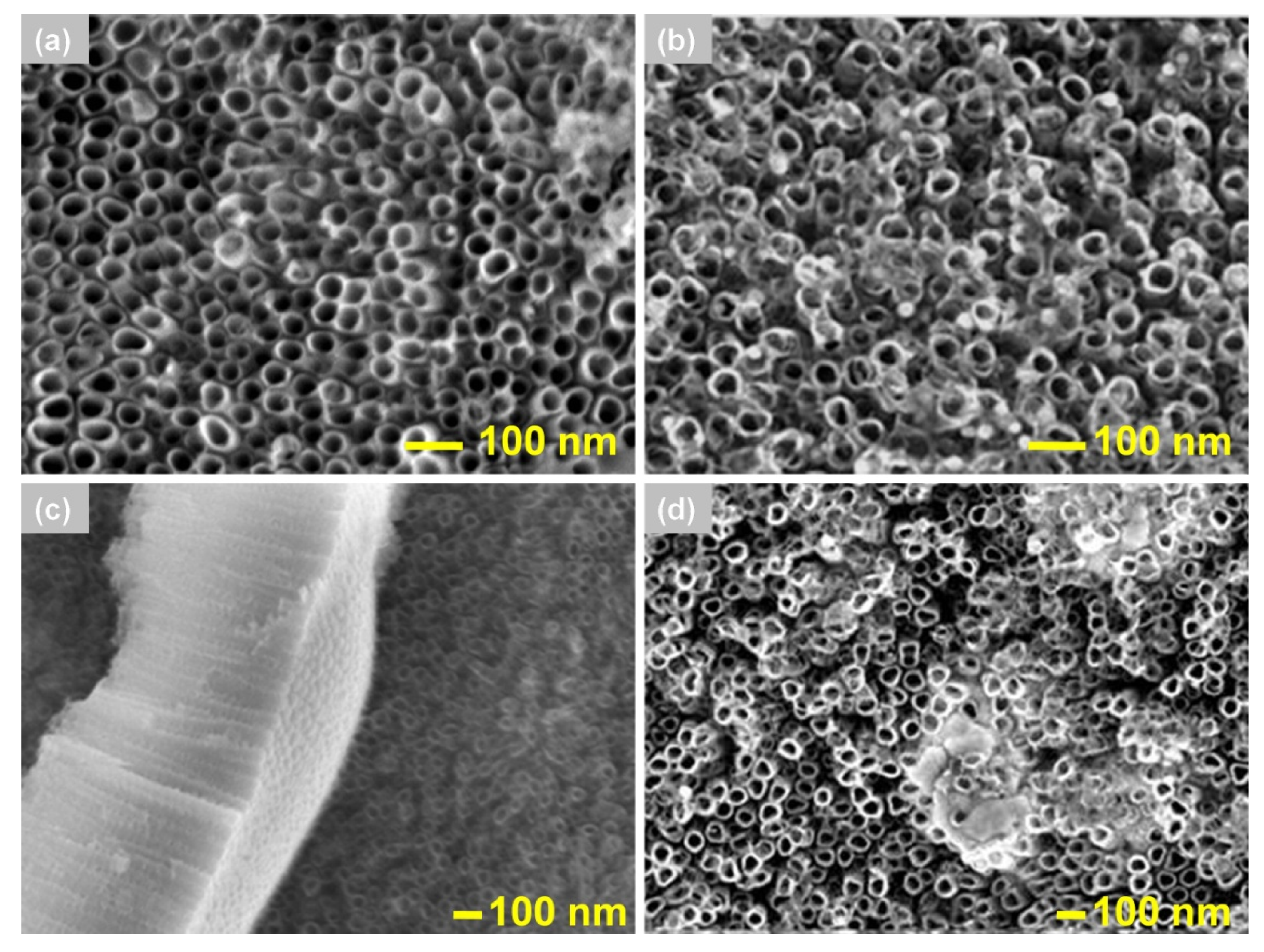 Materials 13 04269 g004