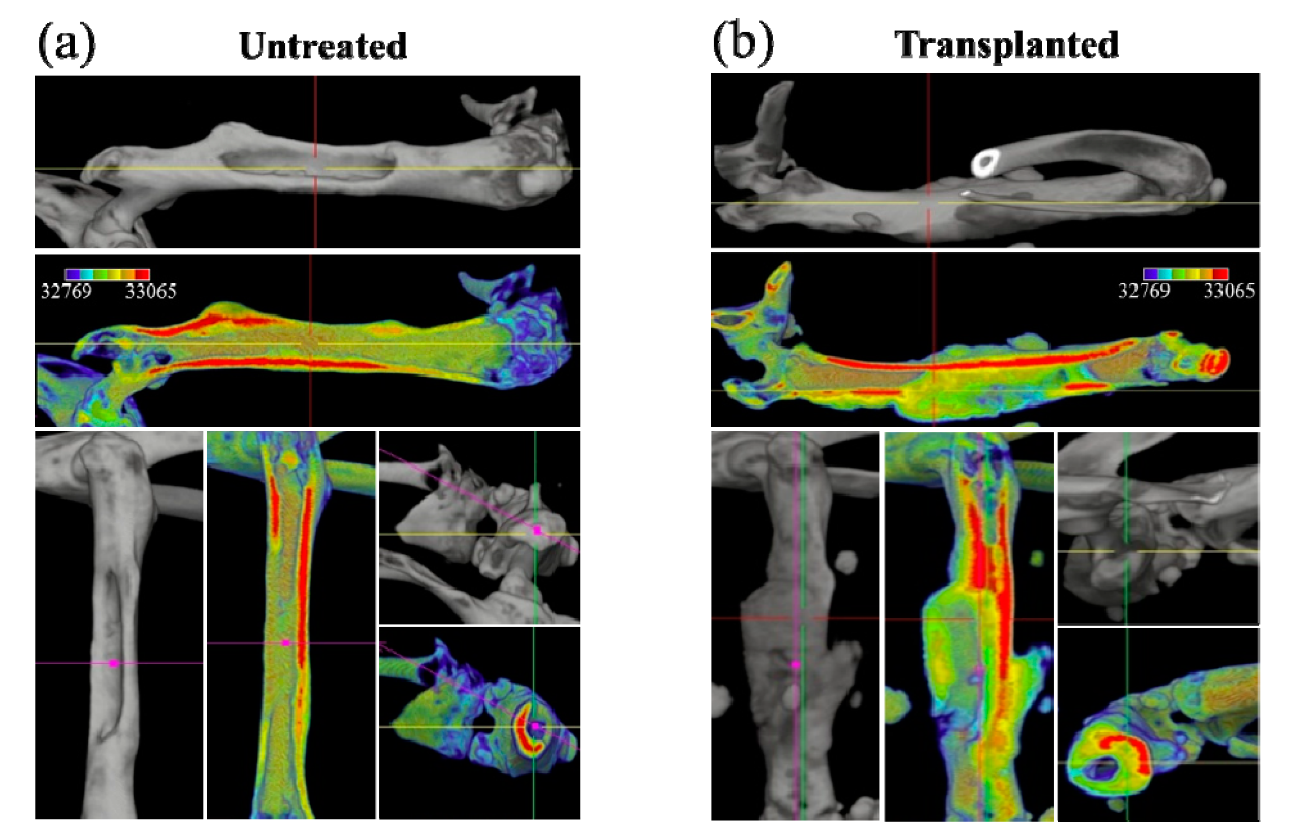 Materials 13 04275 g002 Materials 13 04275 g002