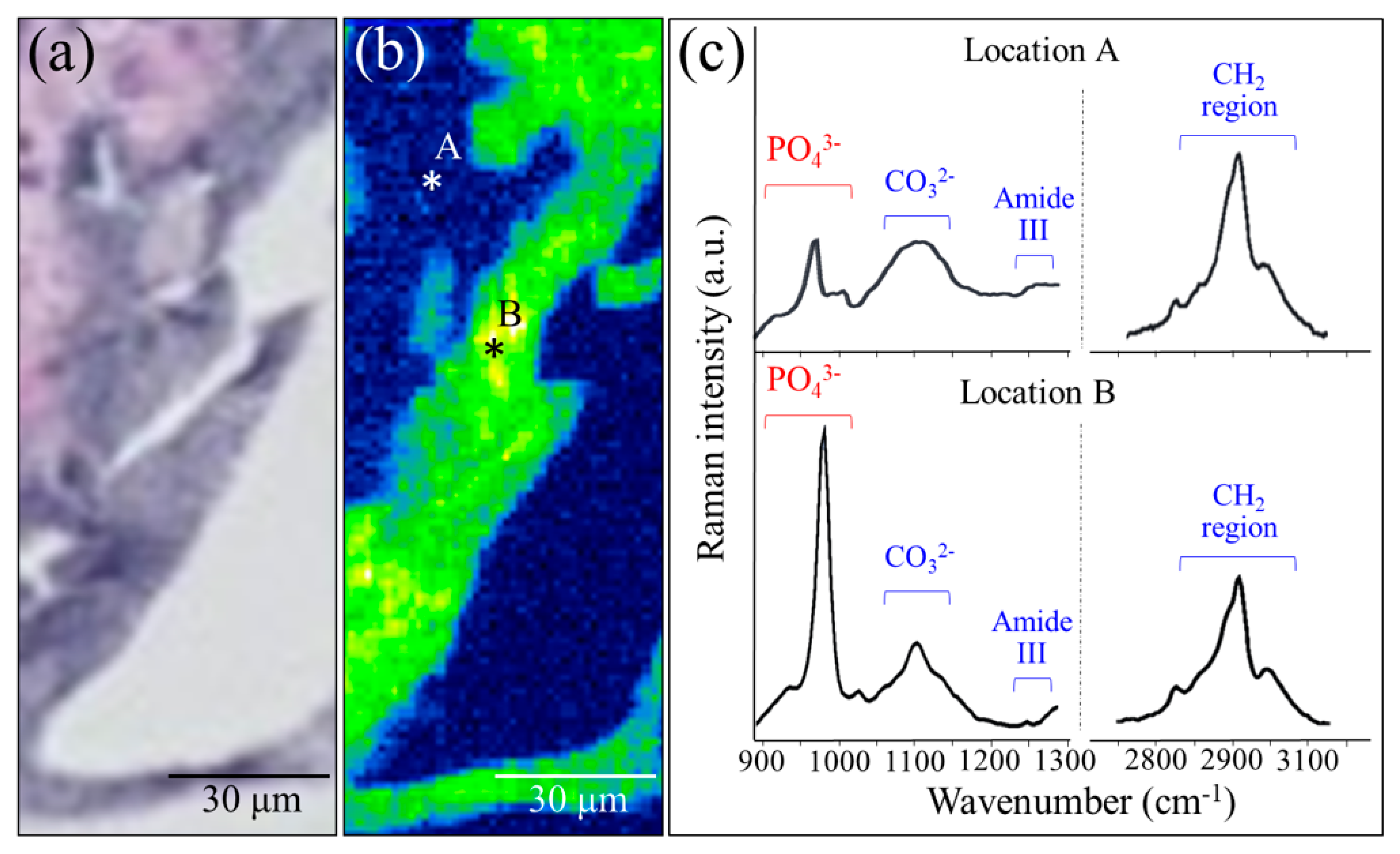 Materials 13 04275 g005 Materials 13 04275 g005