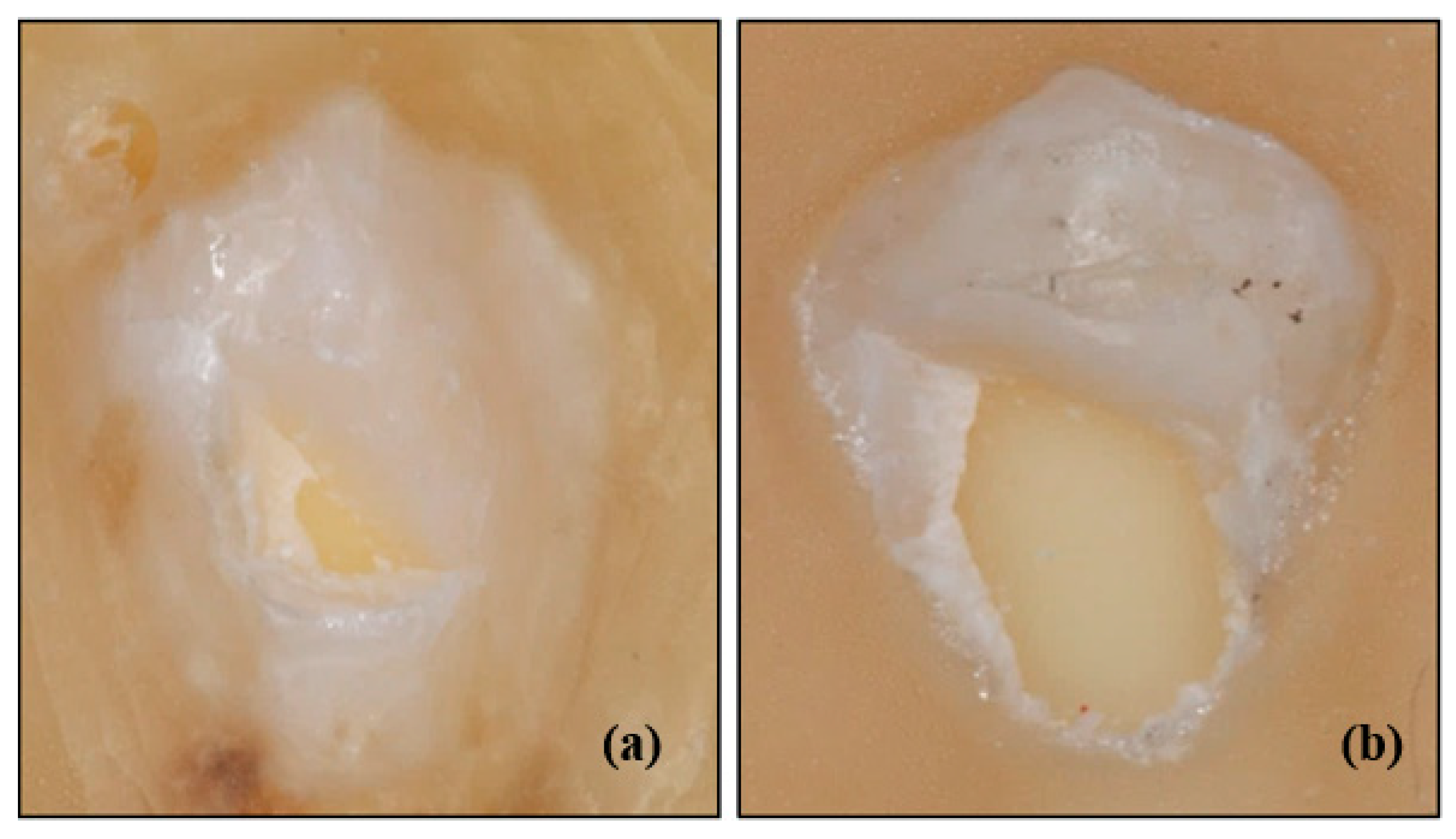 Materials 13 04280 g004