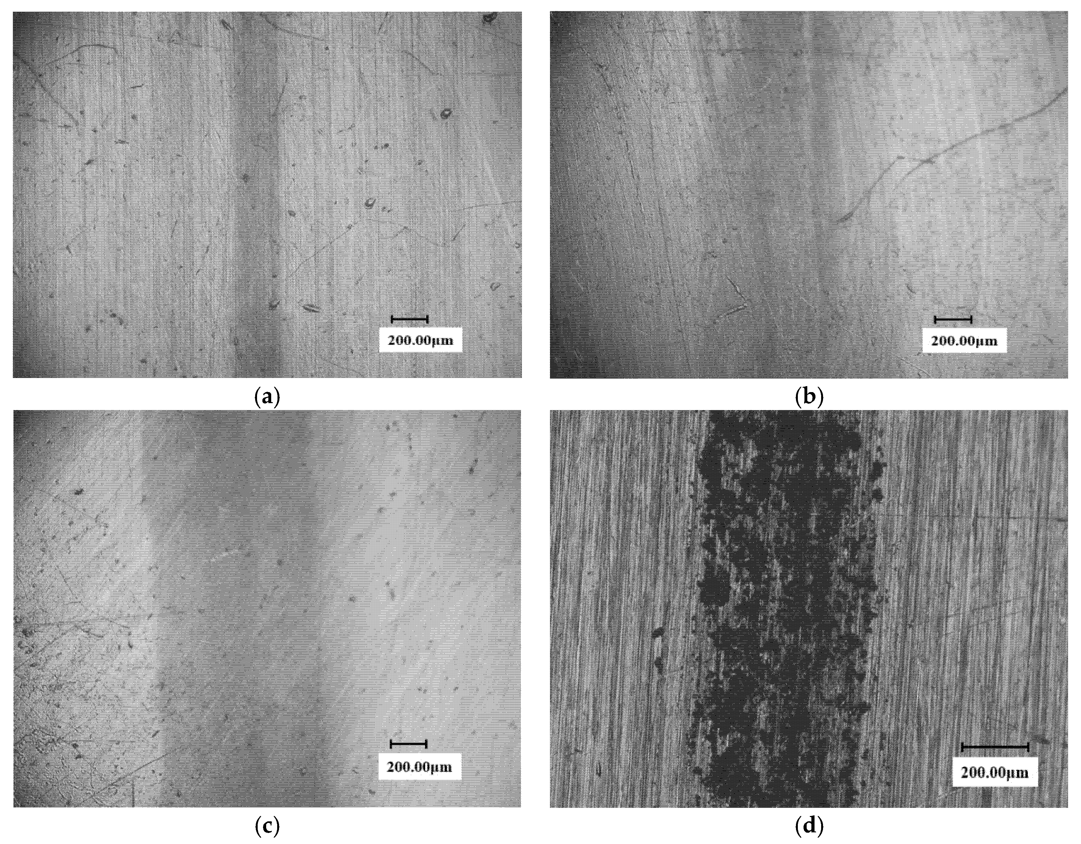 Materials 13 04286 g008 550