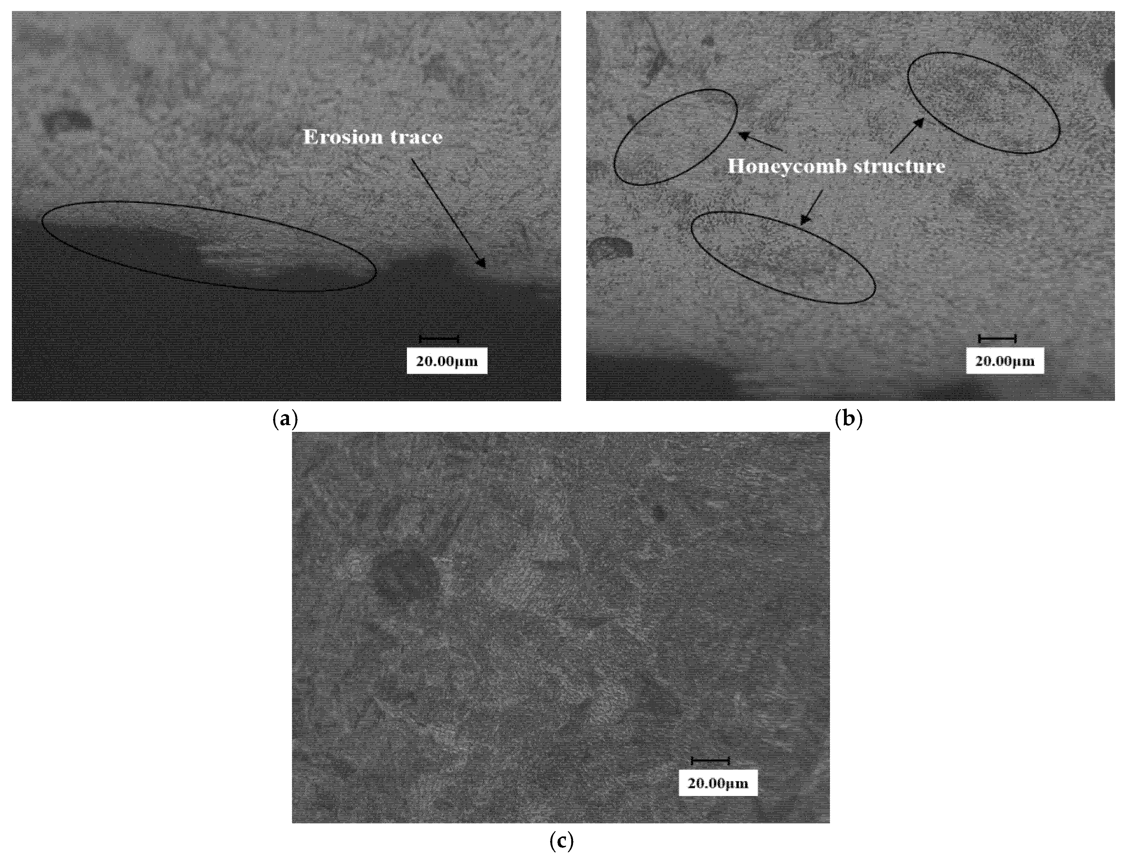 Materials 13 04286 g012 550