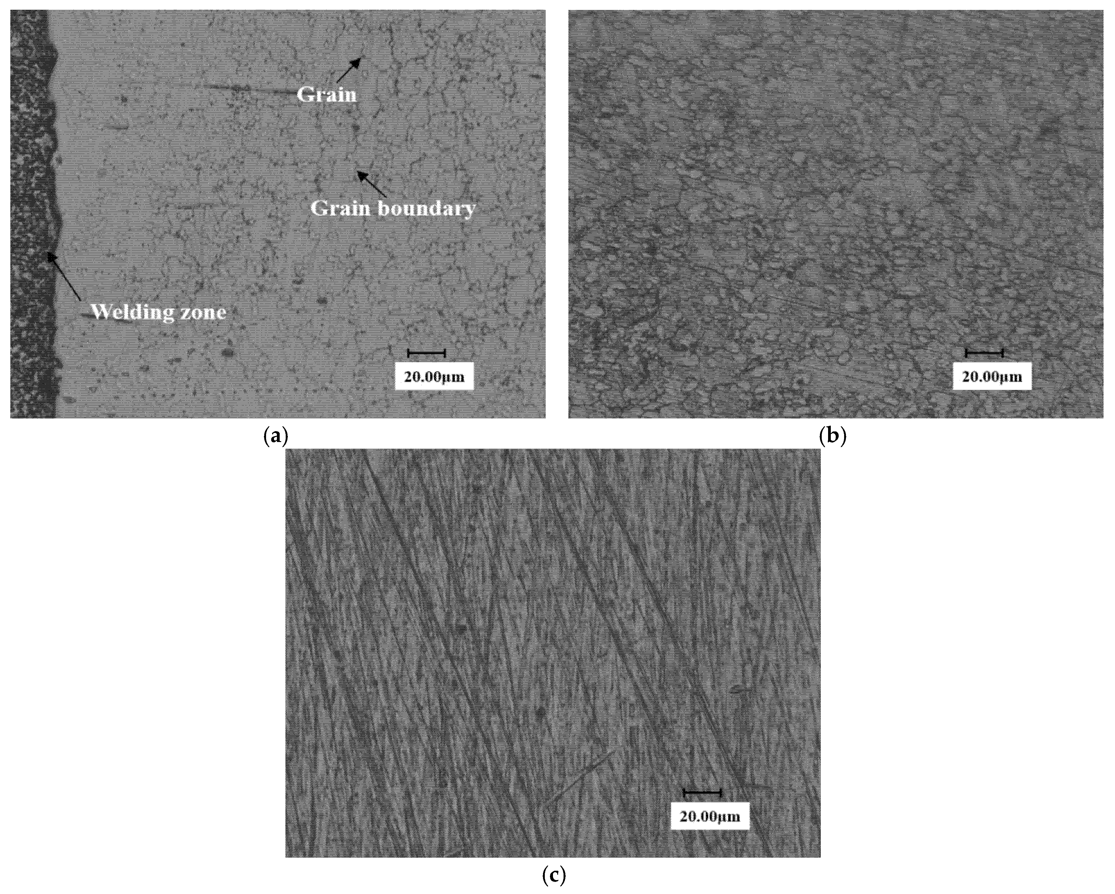 Materials 13 04286 g014 550