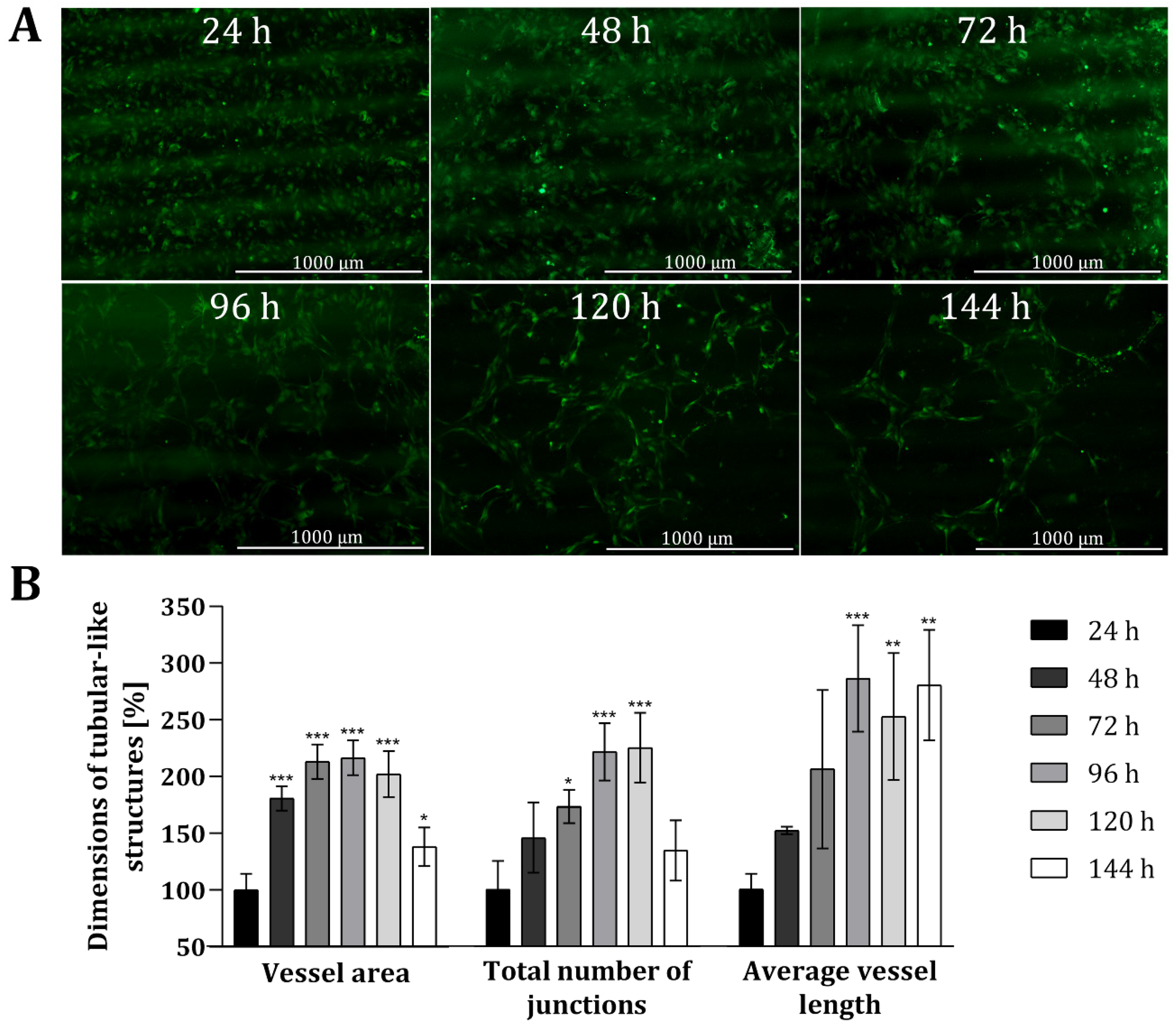 Materials 13 04290 g004