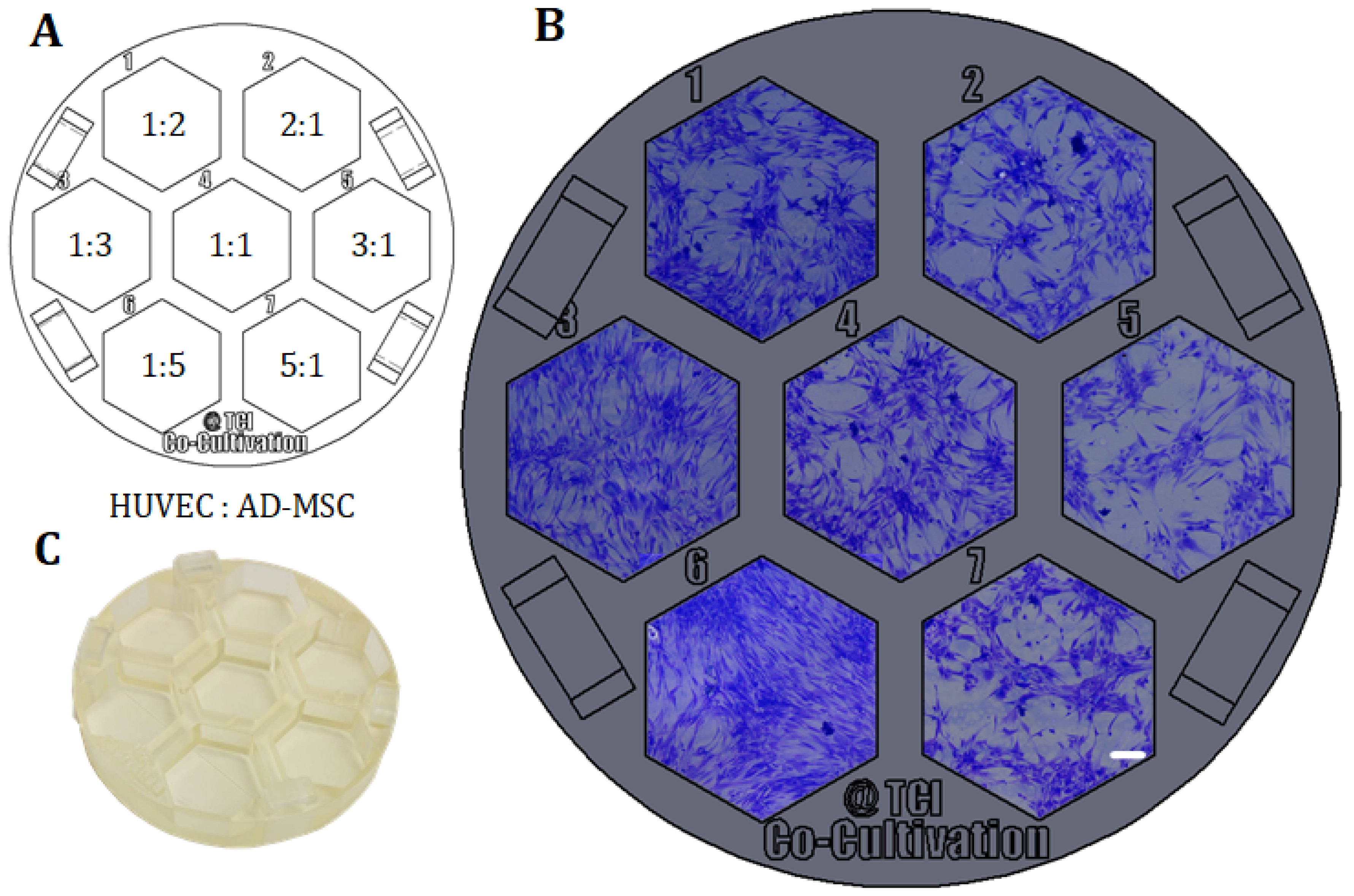 Materials 13 04290 g005