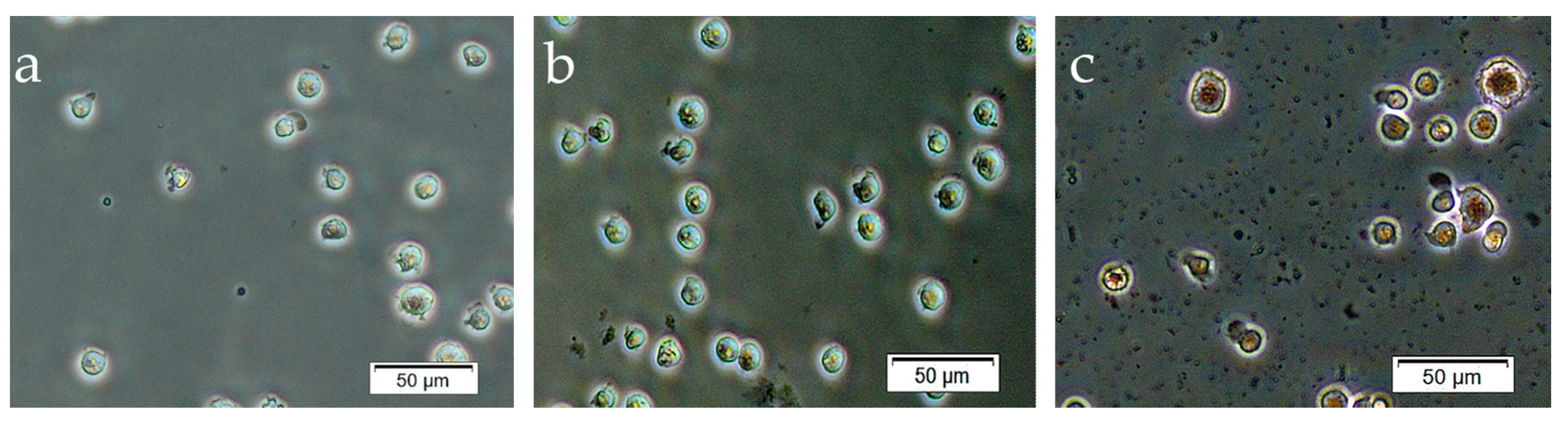 Materials 13 04307 g006