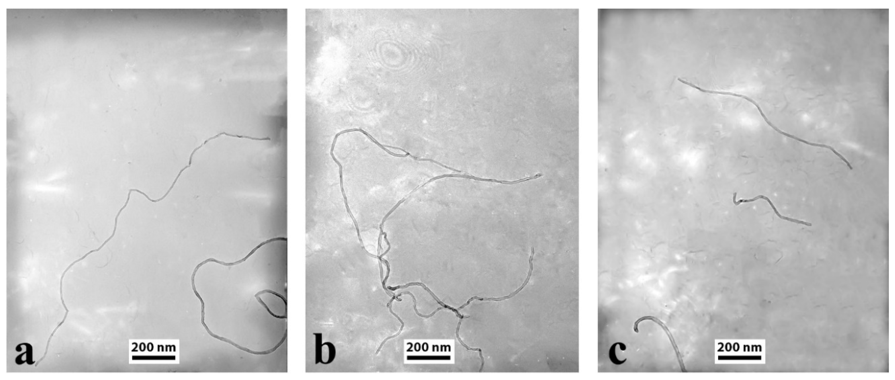 Materials 13 04308 g001
