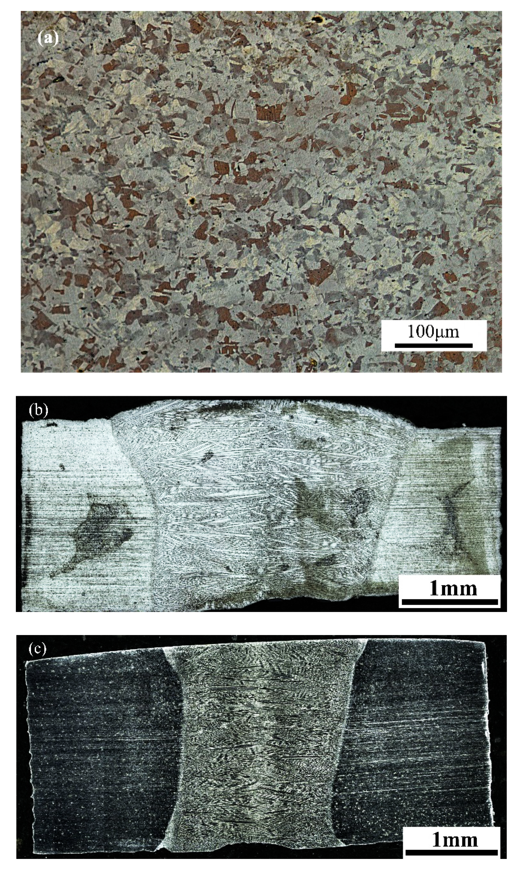 Materials 13 04315 g001 Materials 13 04315 g001