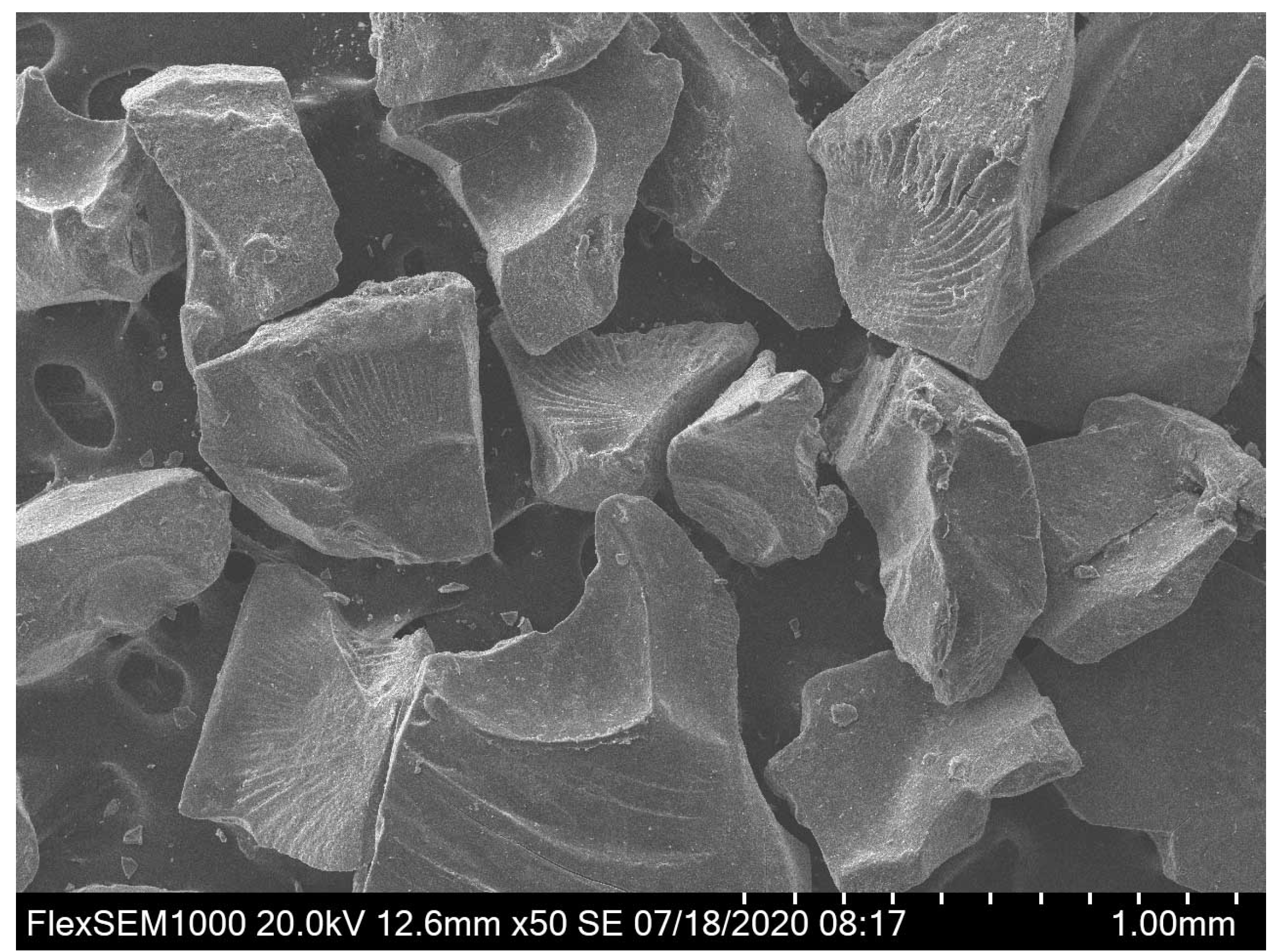 Materials 13 04318 g002