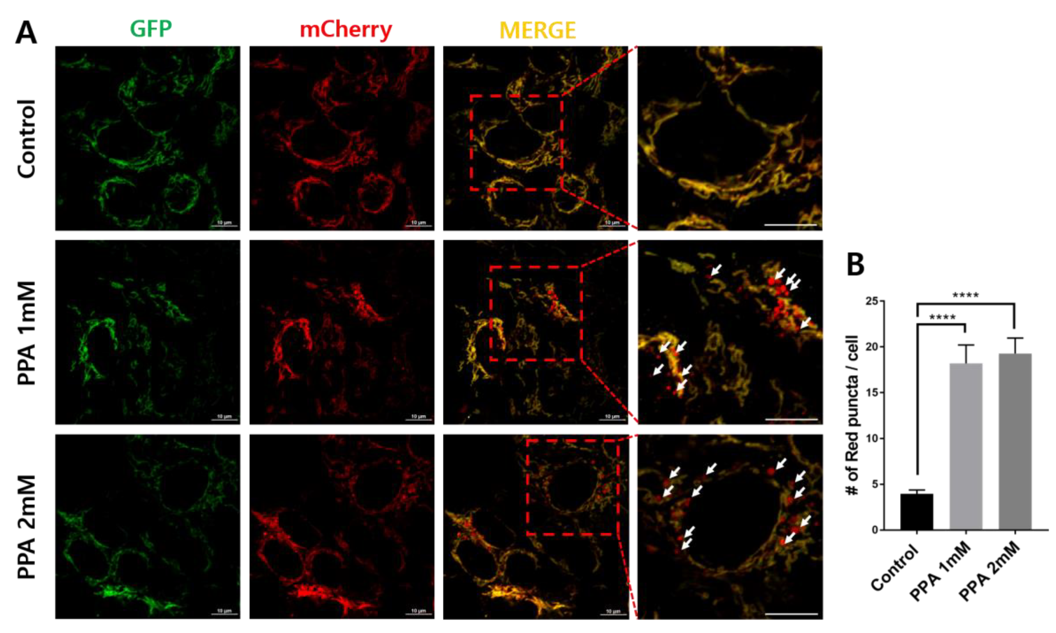 Materials 13 04336 g003