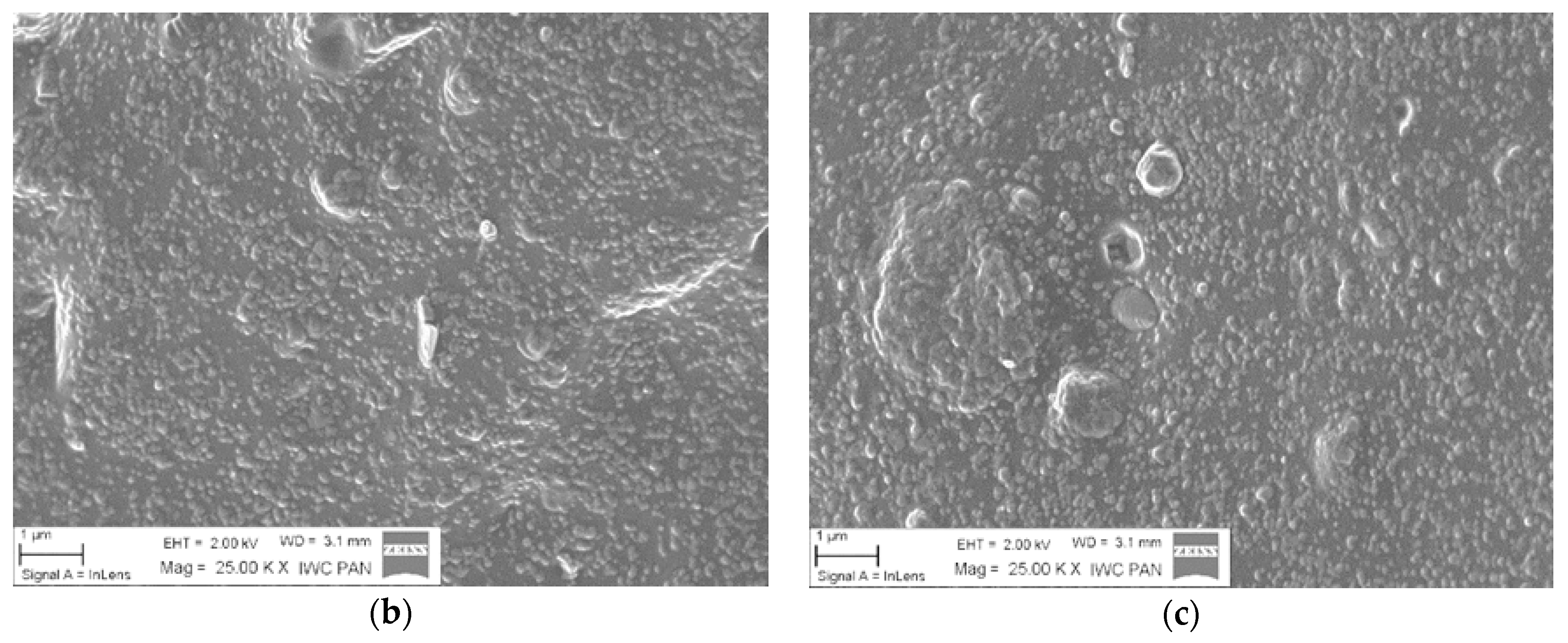 Materials 13 04337 g004b