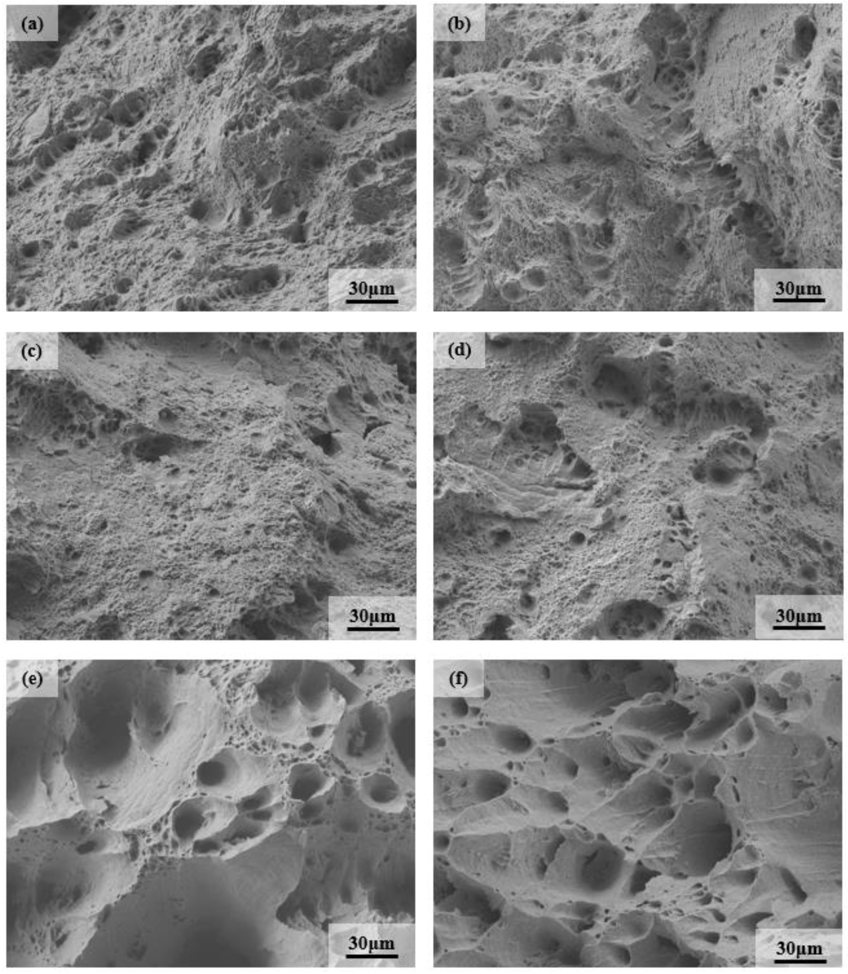 Materials 13 04340 g005 Materials 13 04340 g005