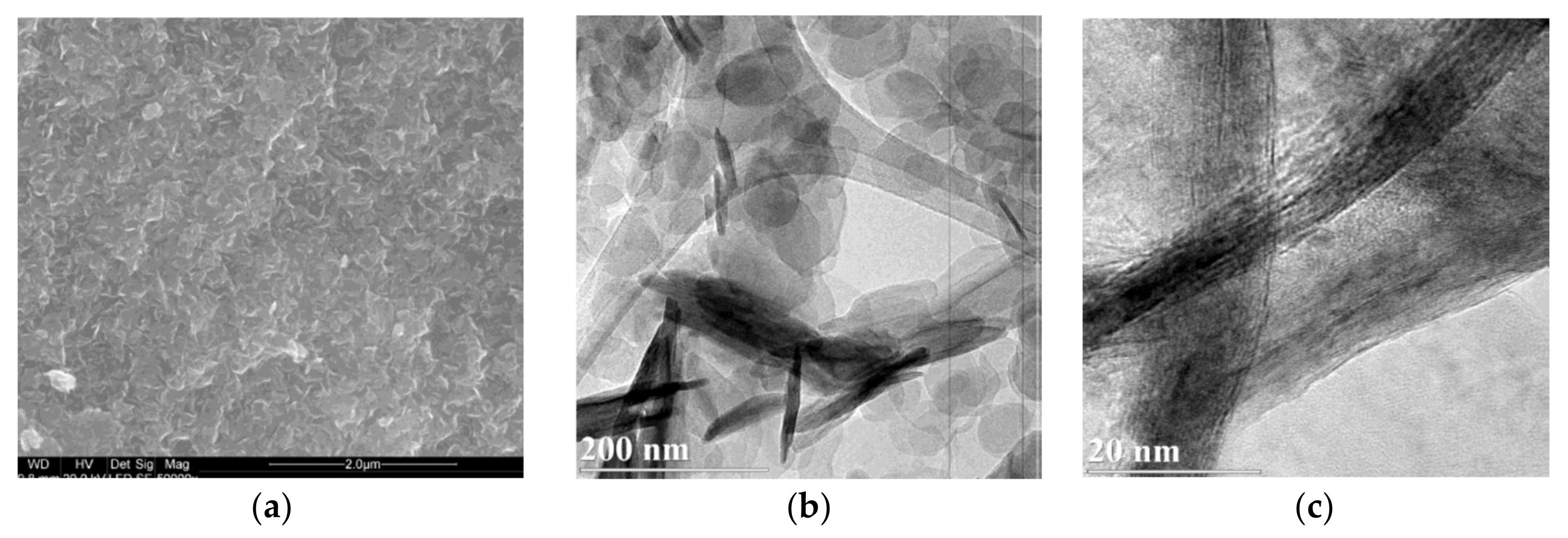 Materials 13 04344 g004a Materials 13 04344 g004a